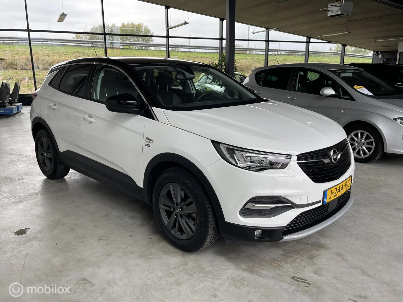 Hoofdafbeelding Opel Grandland X