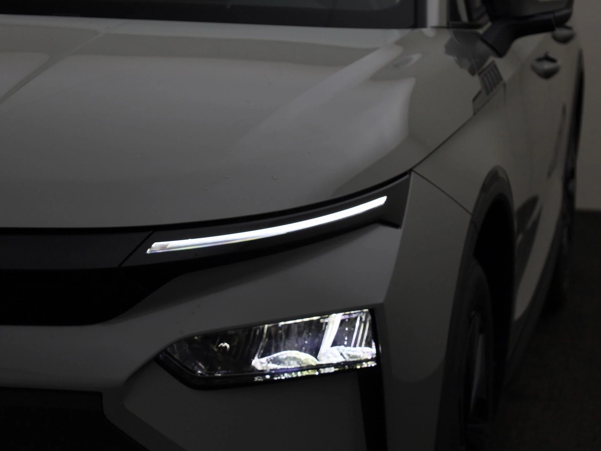 Hoofdafbeelding Škoda Elroq