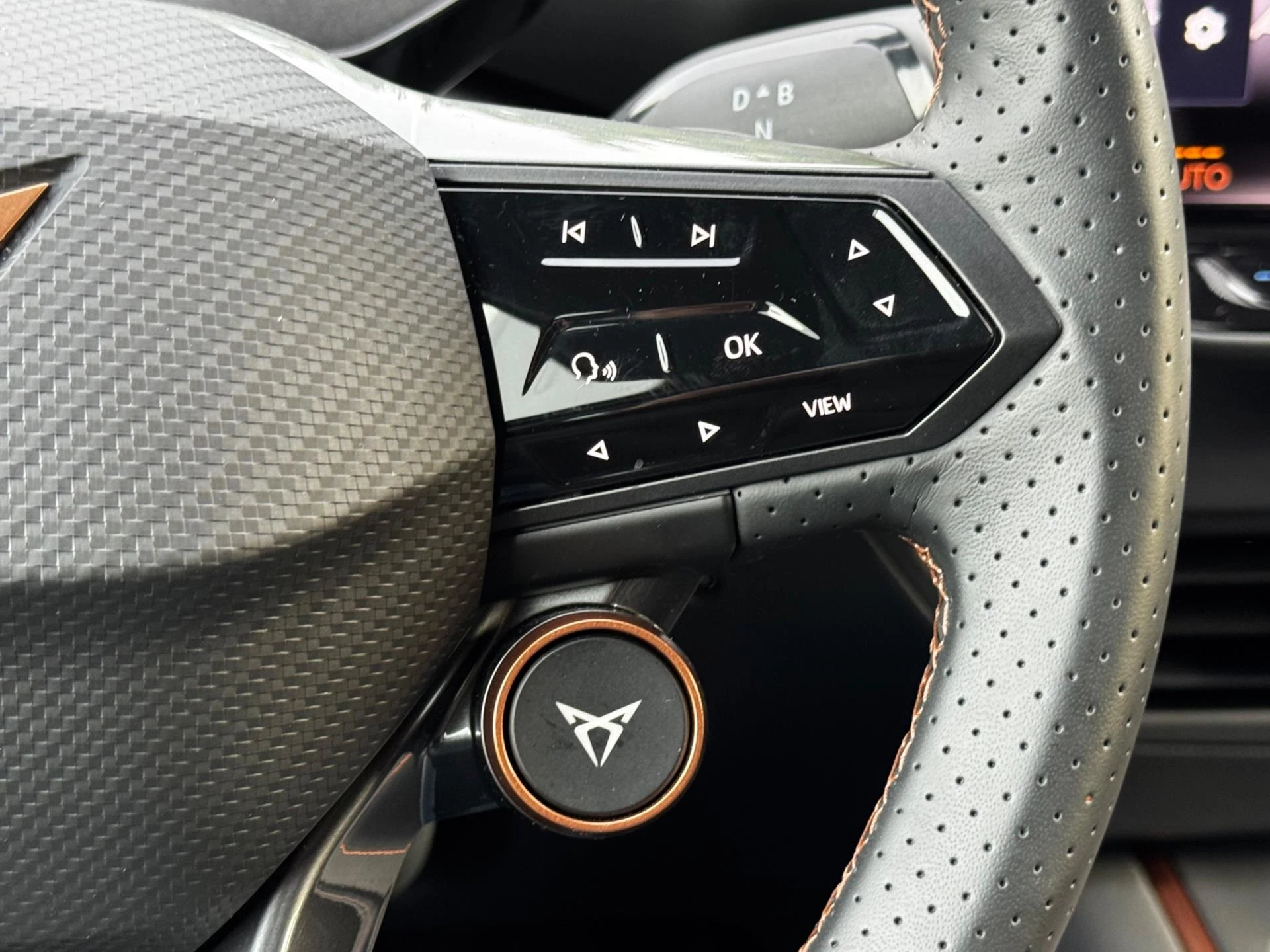 Hoofdafbeelding CUPRA Born