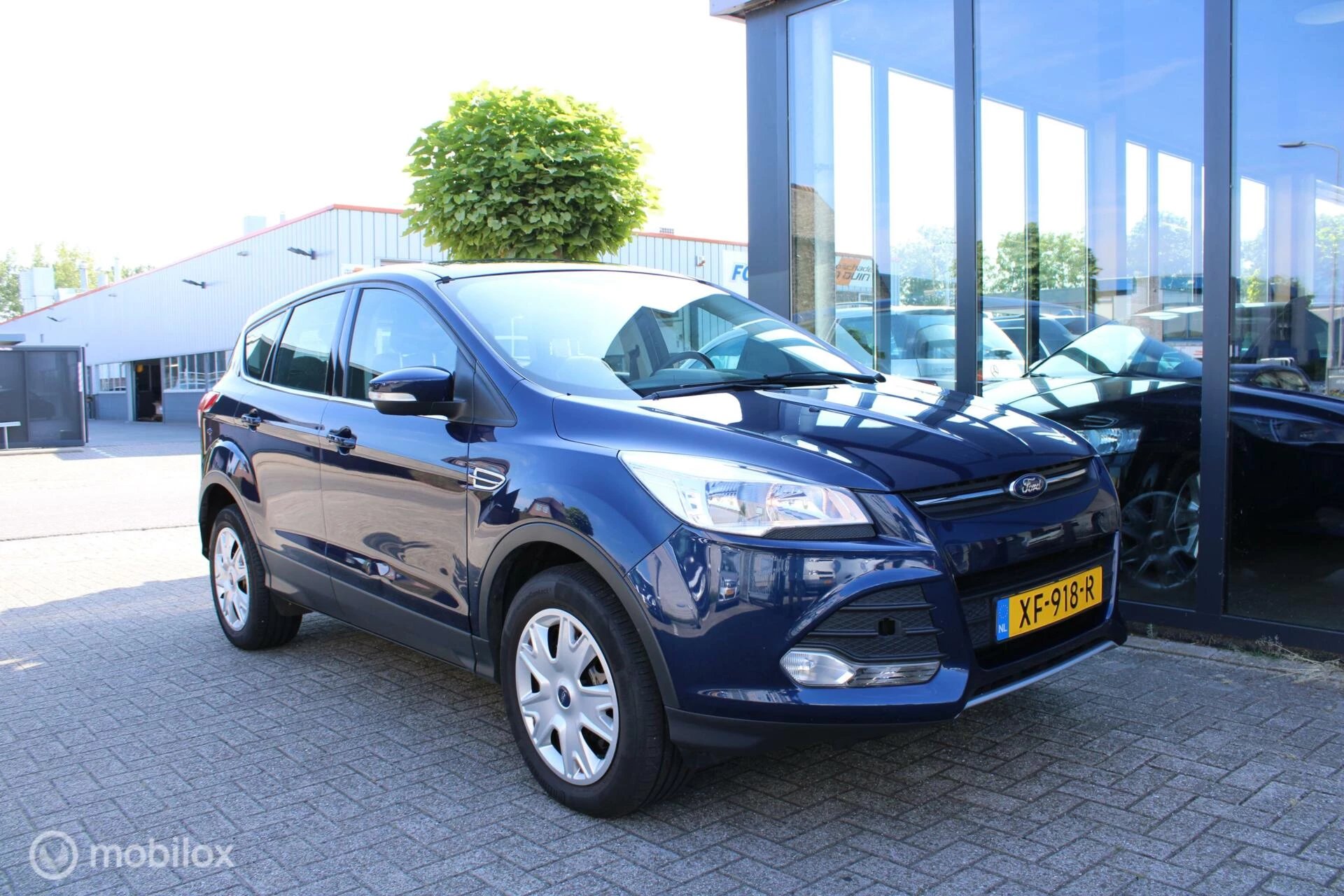 Hoofdafbeelding Ford Kuga