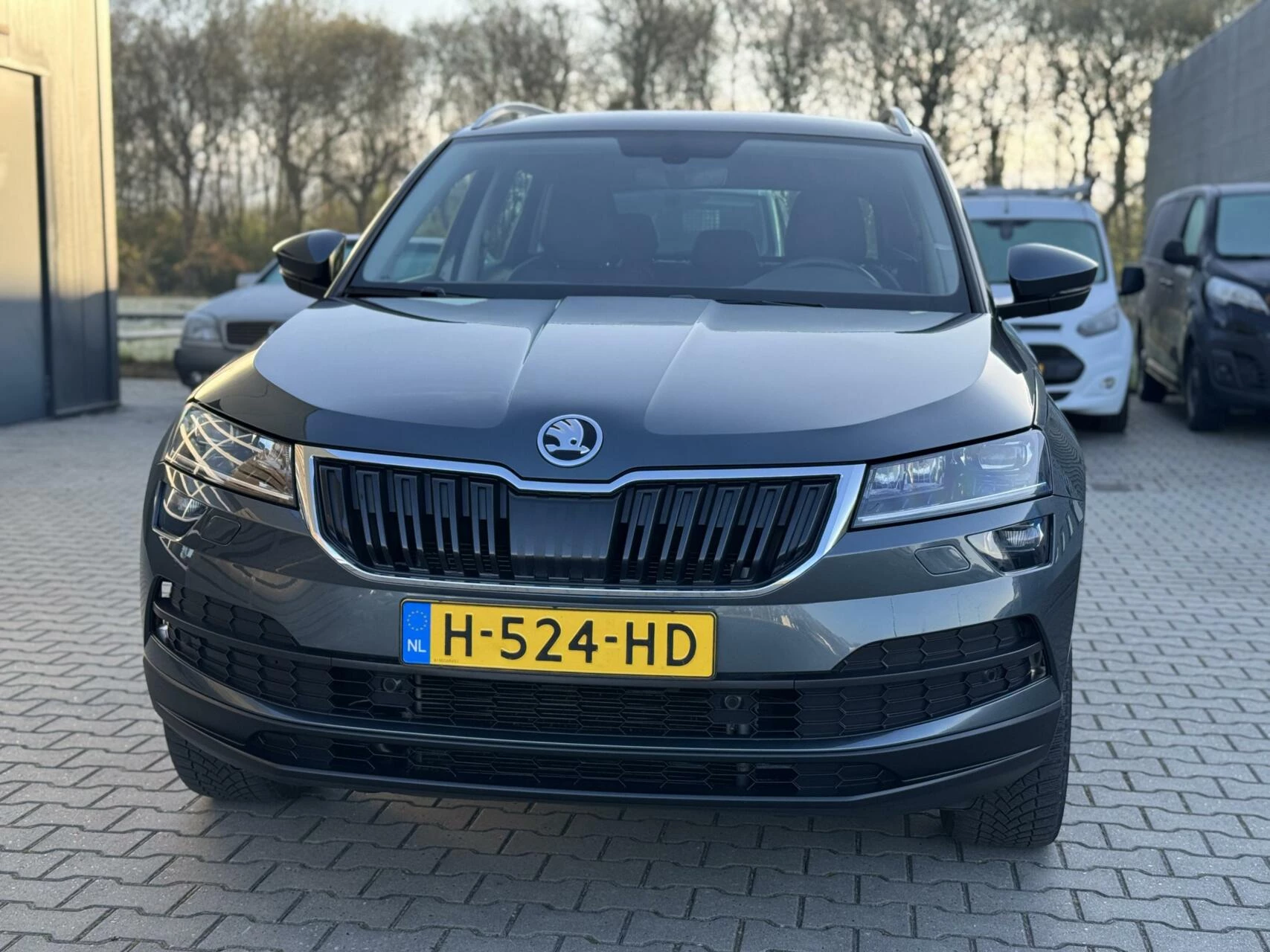 Hoofdafbeelding Škoda Karoq