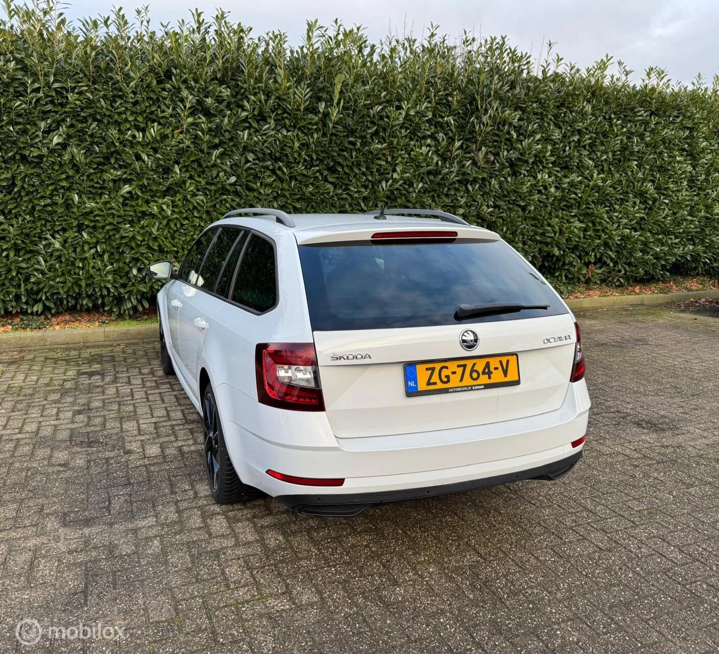 Hoofdafbeelding Škoda Octavia