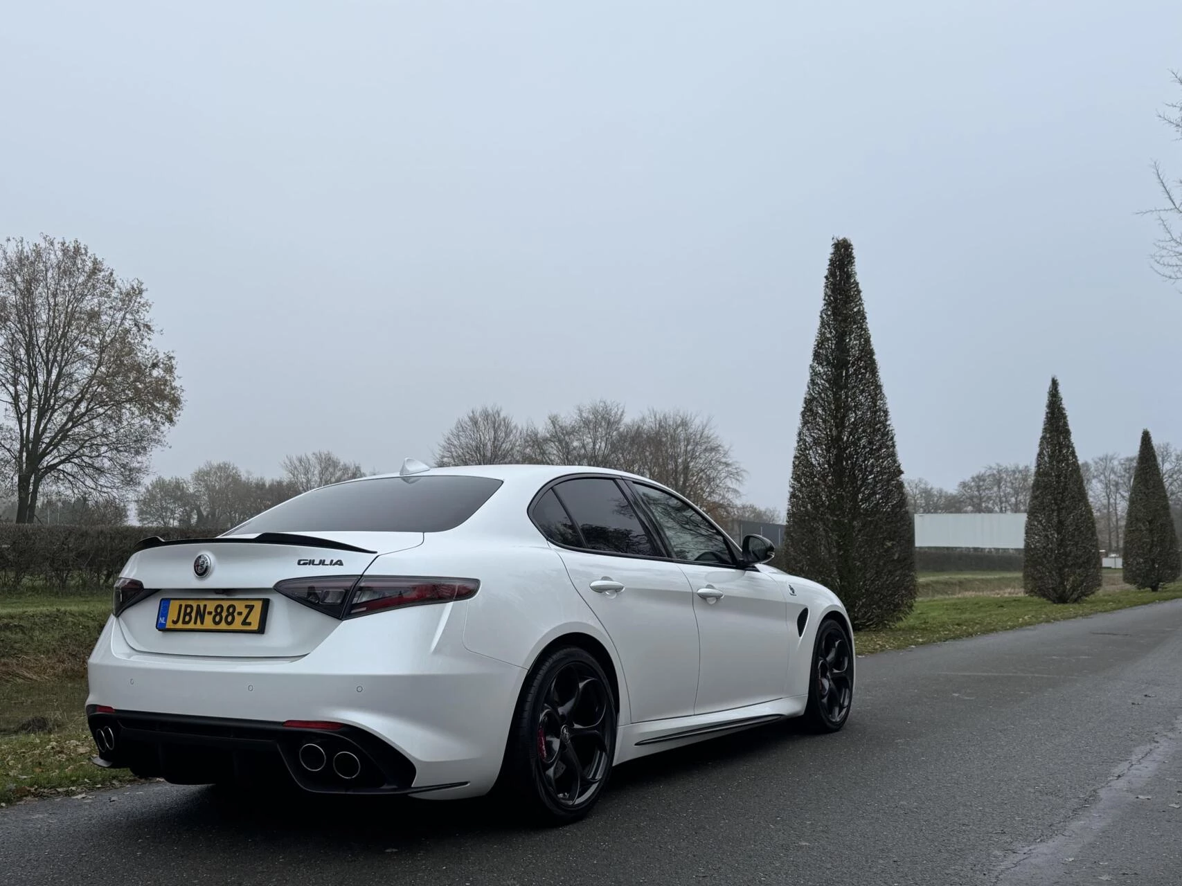 Hoofdafbeelding Alfa Romeo Giulia