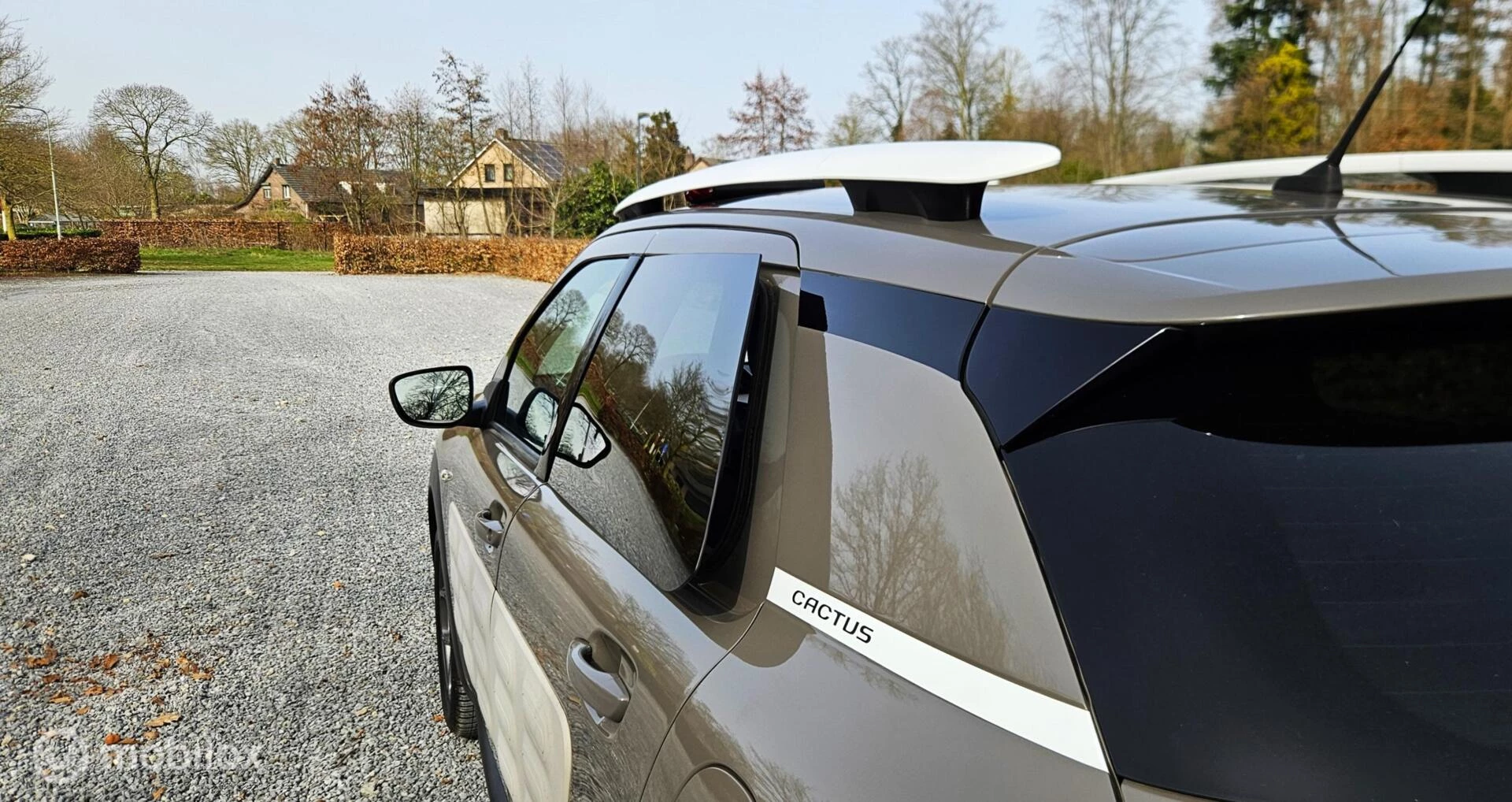 Hoofdafbeelding Citroën C4 Cactus