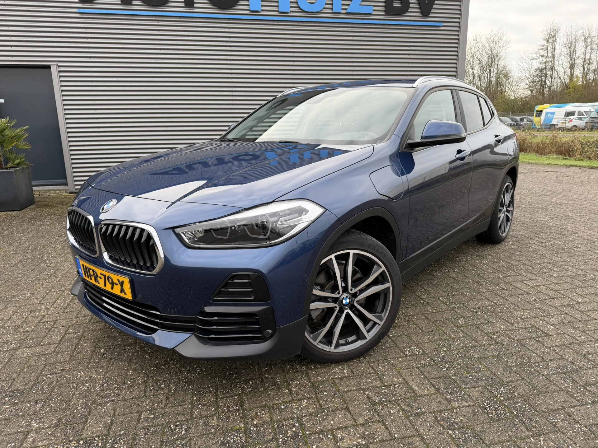 Hoofdafbeelding BMW X2