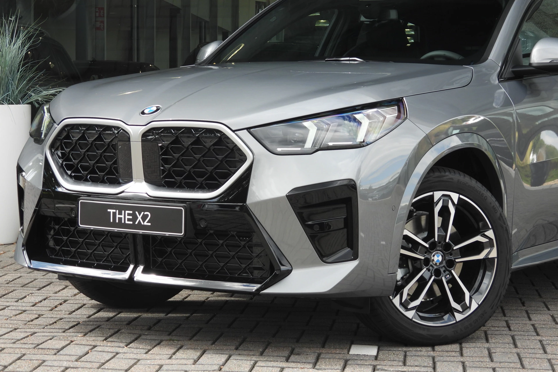 Hoofdafbeelding BMW X2