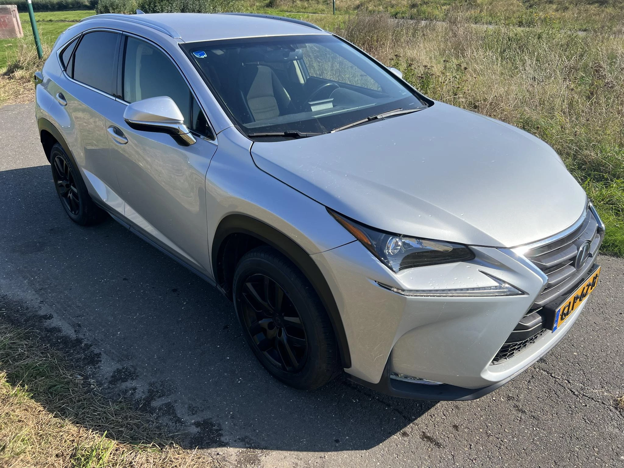 Hoofdafbeelding Lexus NX