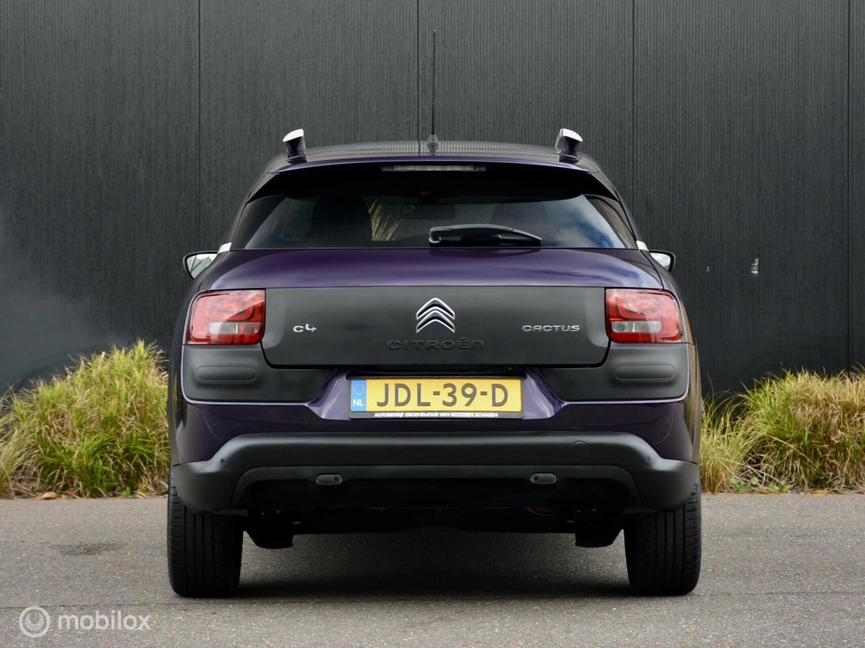 Hoofdafbeelding Citroën C4 Cactus