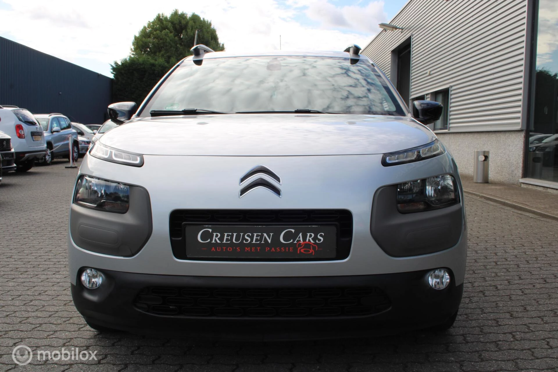 Hoofdafbeelding Citroën C4 Cactus