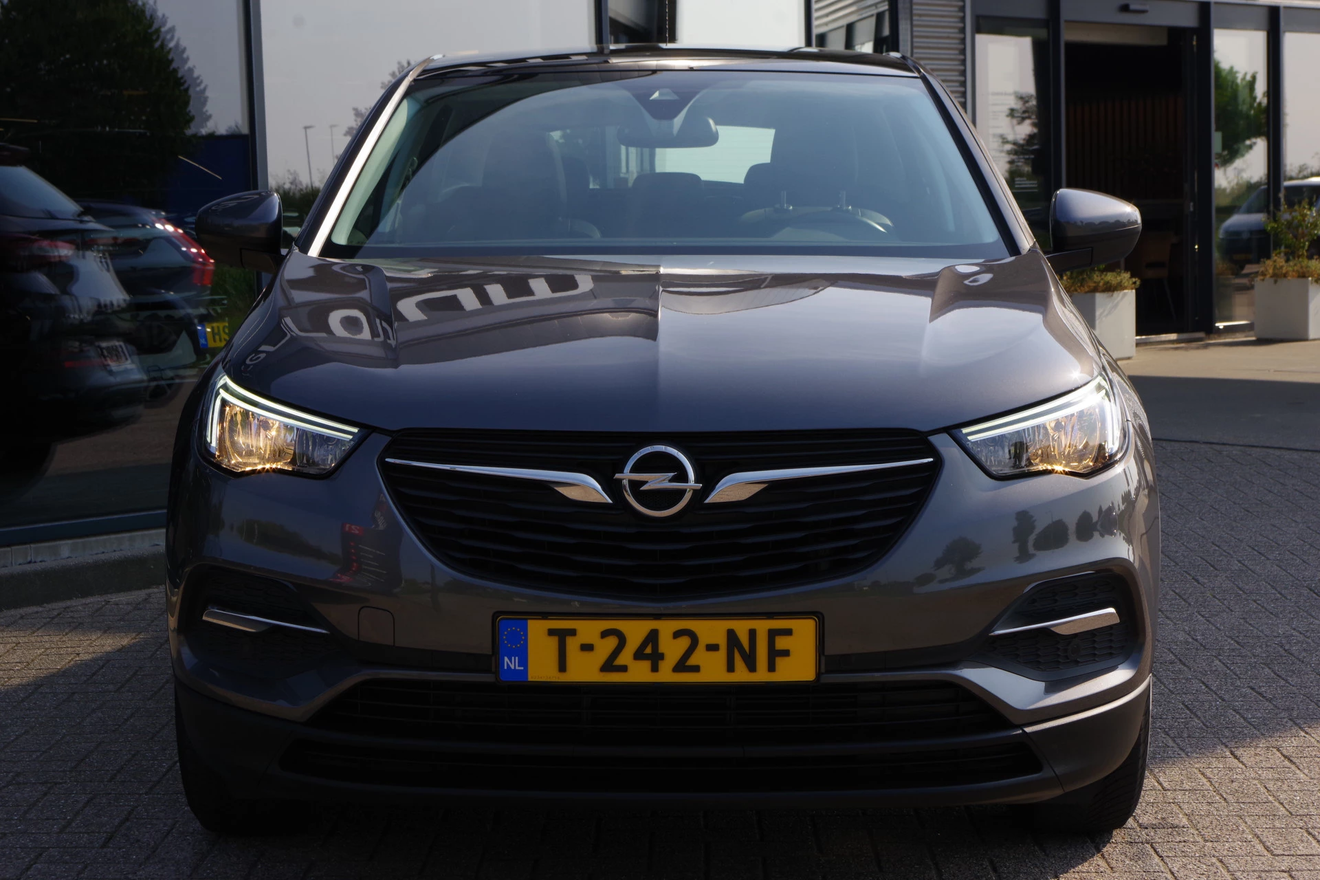 Hoofdafbeelding Opel Grandland X