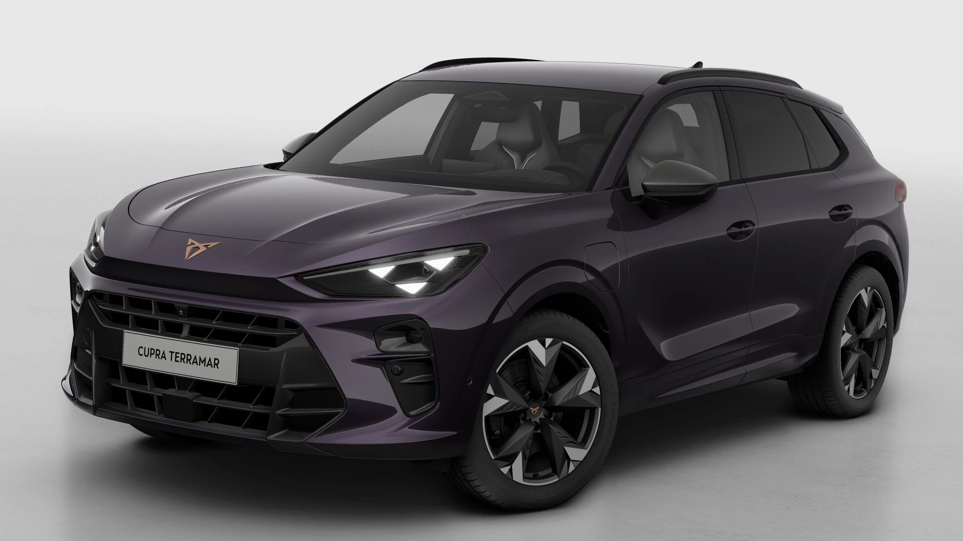 Hoofdafbeelding CUPRA Terramar