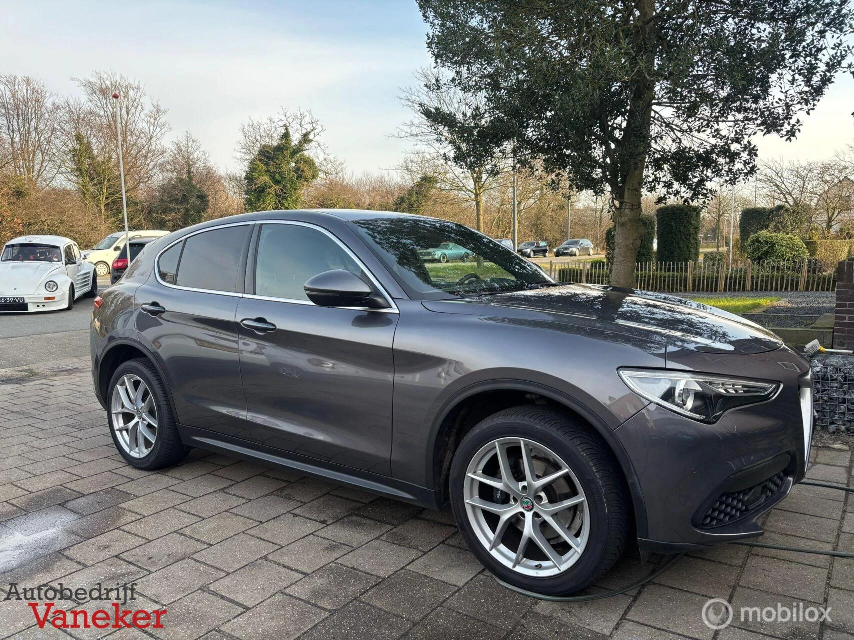 Hoofdafbeelding Alfa Romeo Stelvio