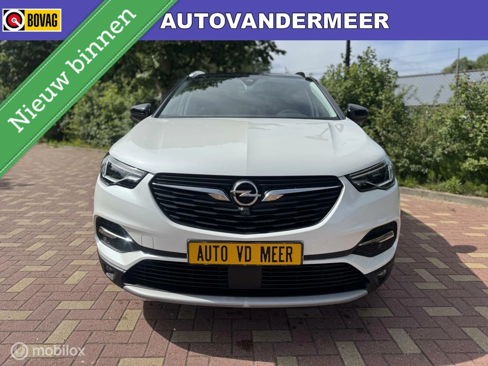 Hoofdafbeelding Opel Grandland X