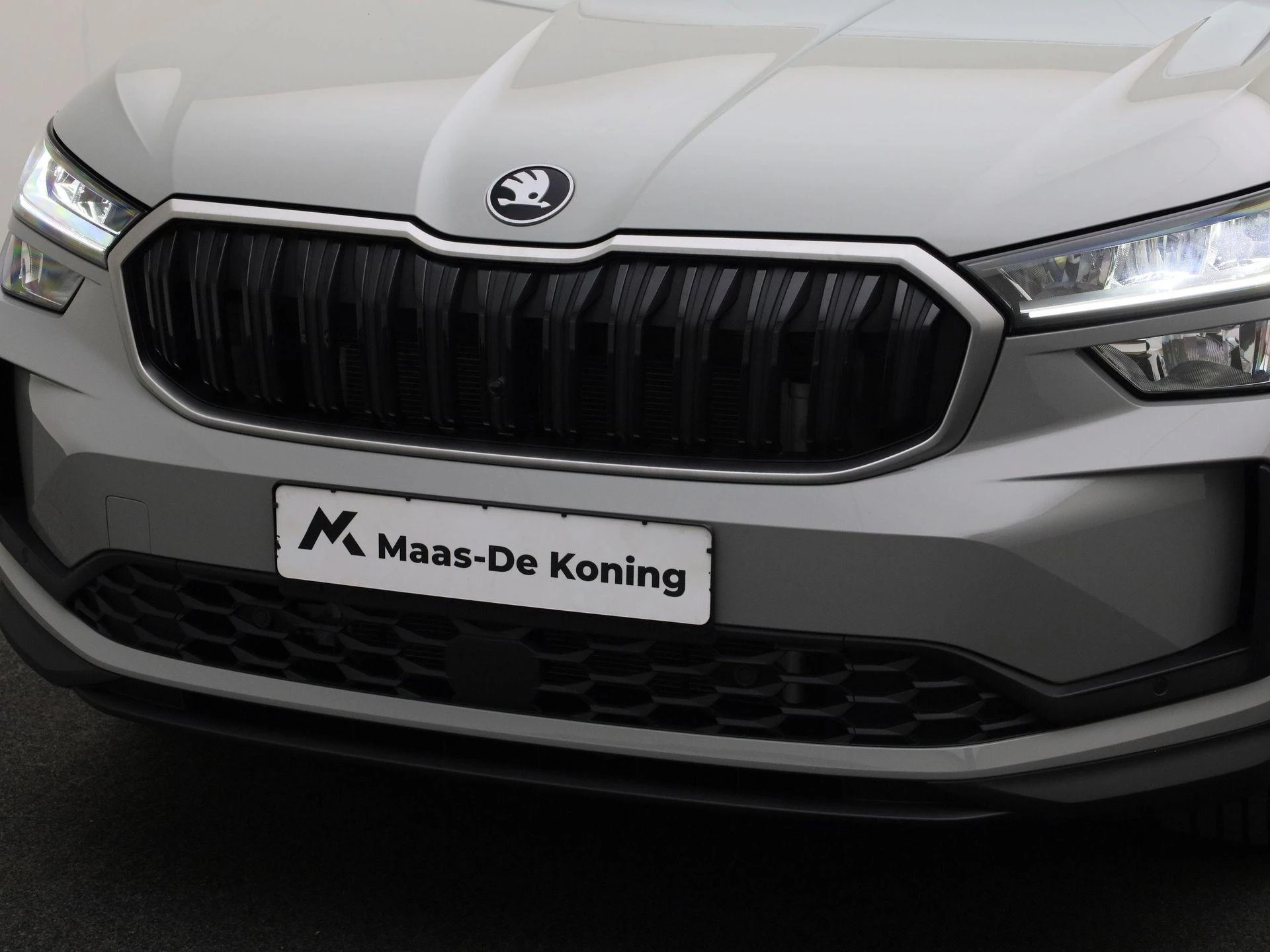 Hoofdafbeelding Škoda Kodiaq