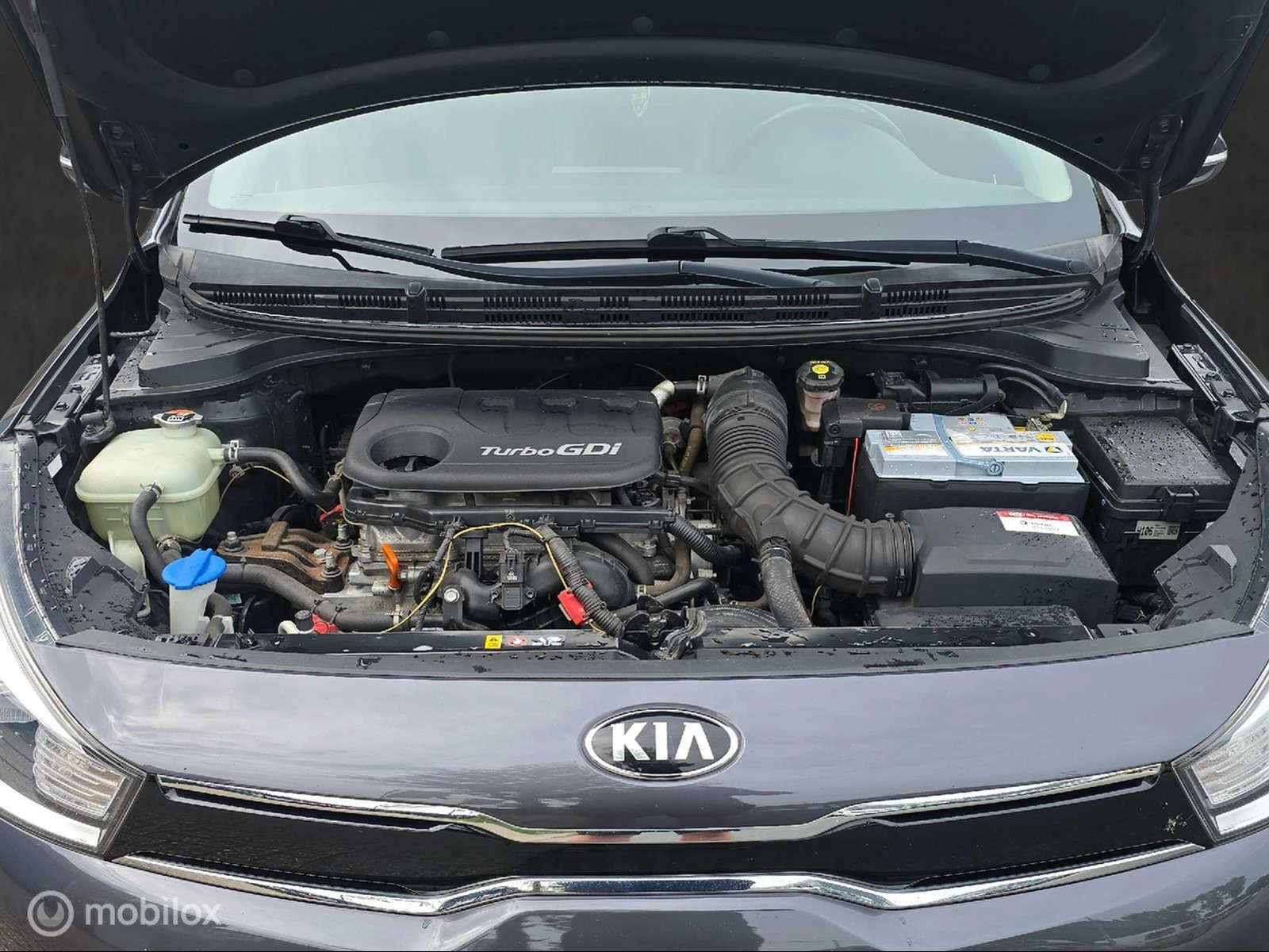 Hoofdafbeelding Kia Rio