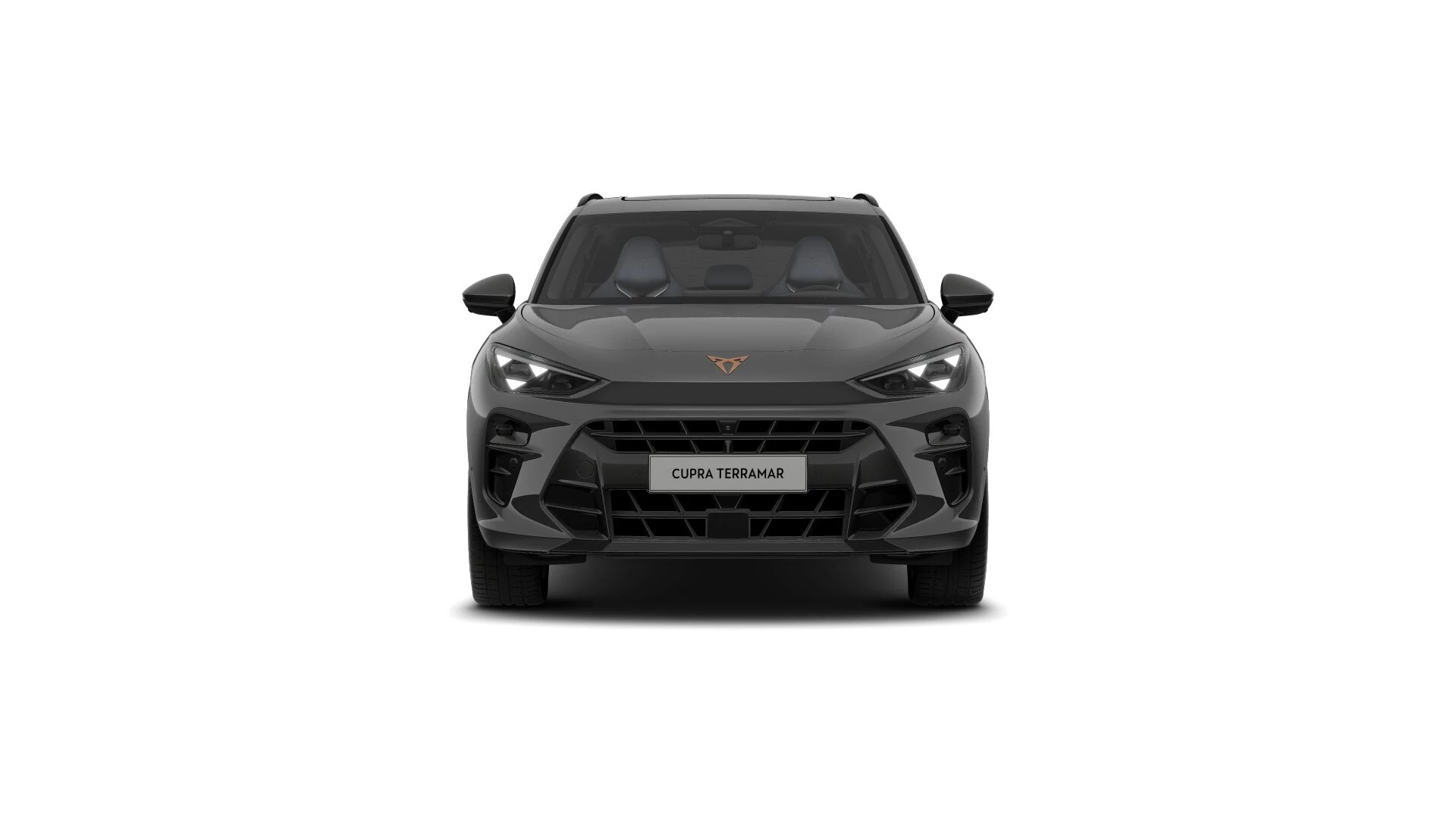 Hoofdafbeelding CUPRA Terramar