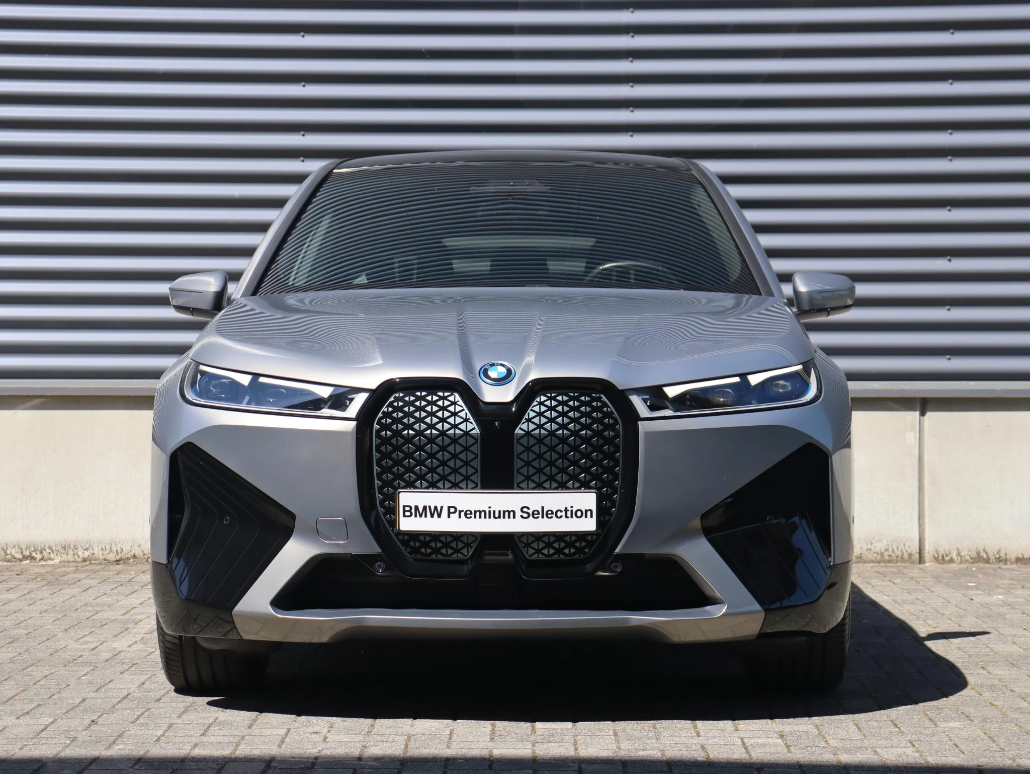 Hoofdafbeelding BMW iX