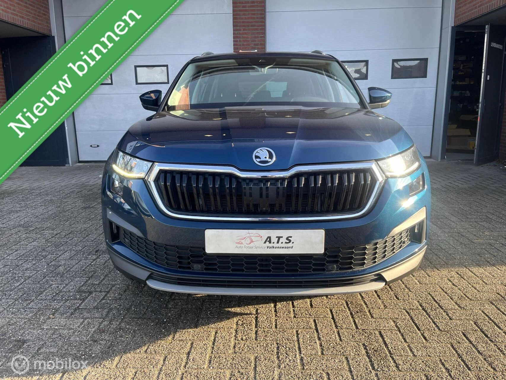 Hoofdafbeelding Škoda Kodiaq