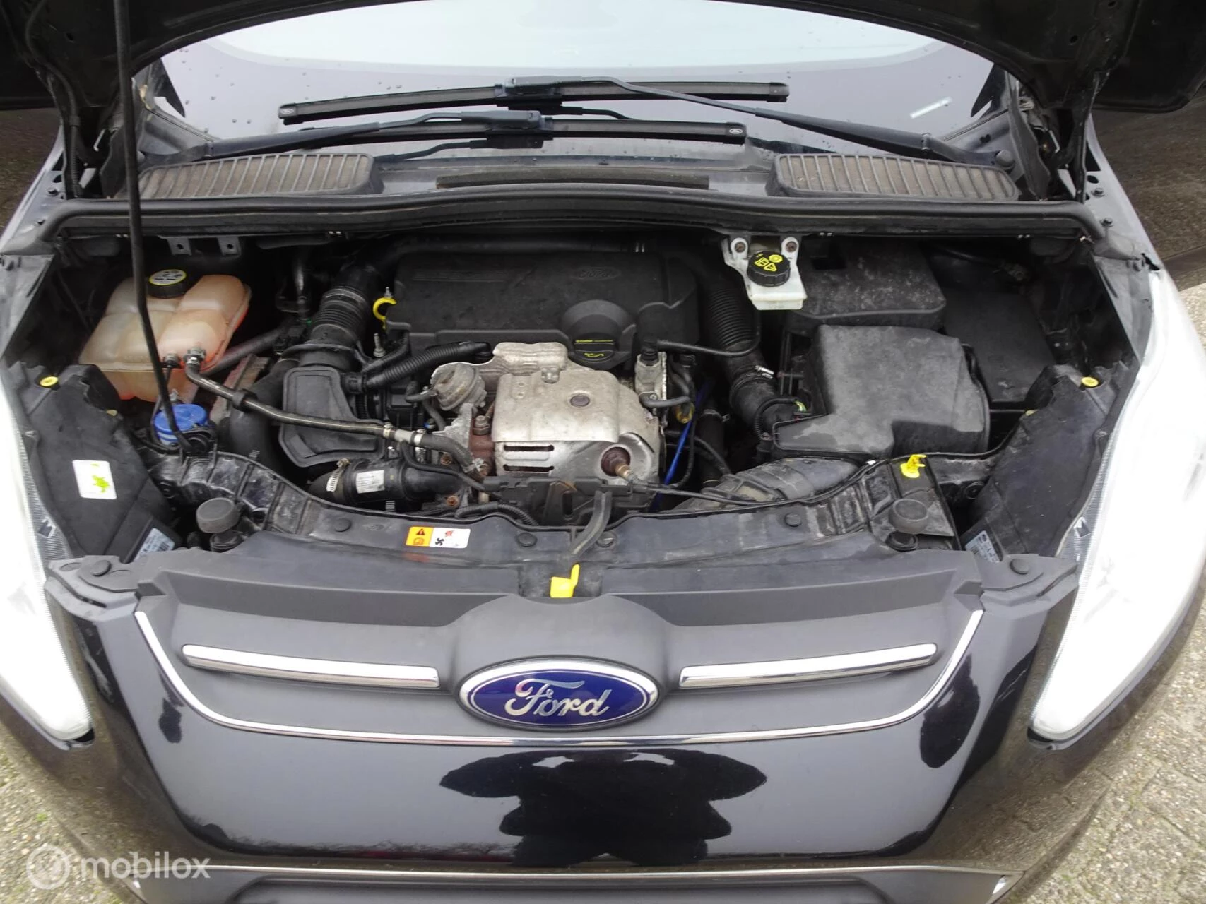 Hoofdafbeelding Ford C-MAX