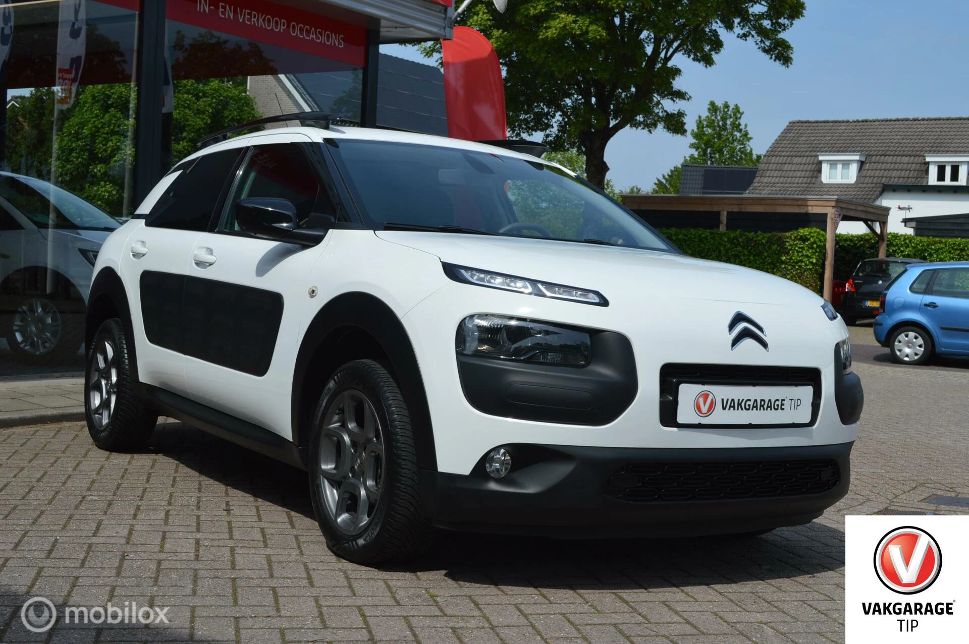 Hoofdafbeelding Citroën C4 Cactus