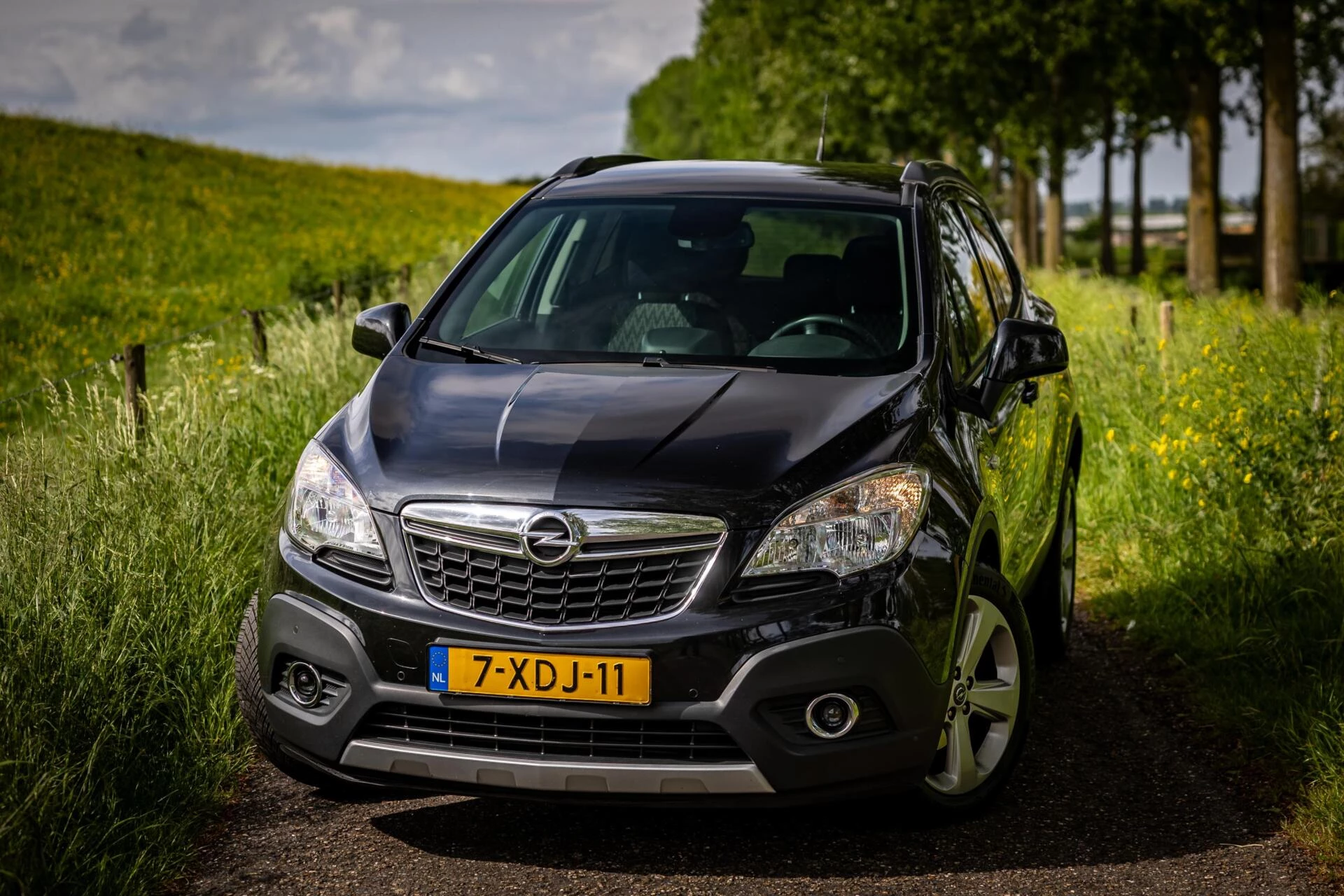 Hoofdafbeelding Opel Mokka