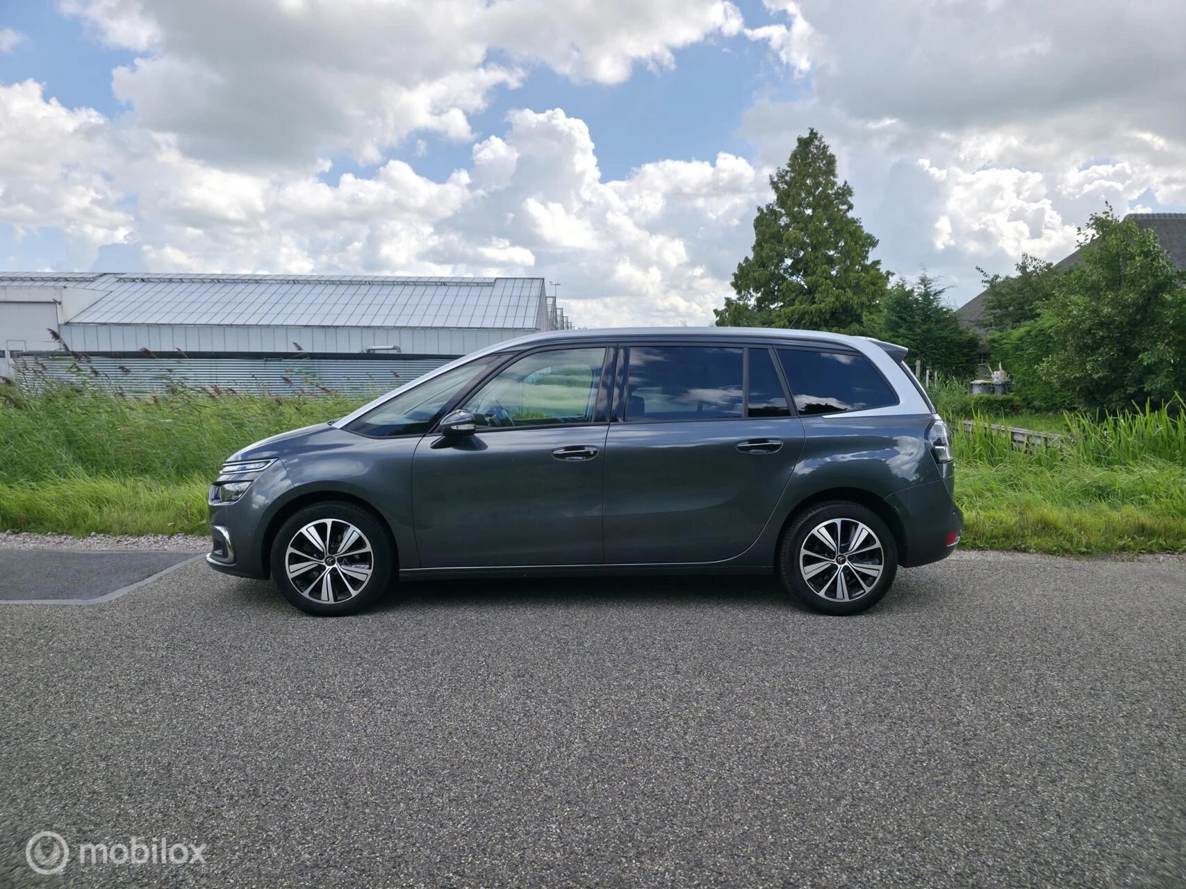 Hoofdafbeelding Citroën Grand C4 Picasso