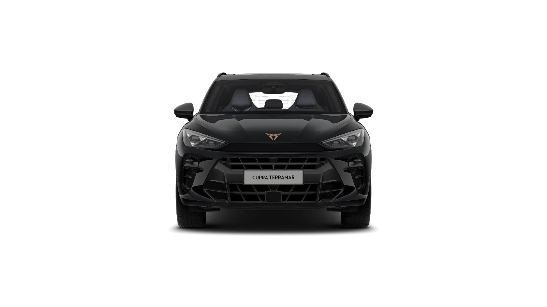 Hoofdafbeelding CUPRA Terramar