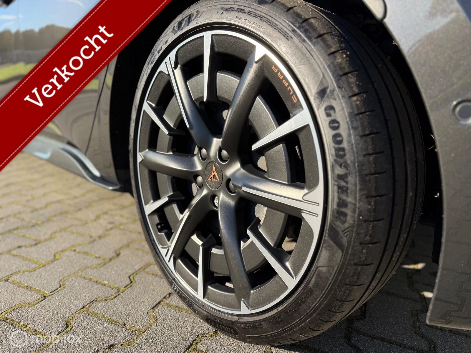 Hoofdafbeelding CUPRA Born