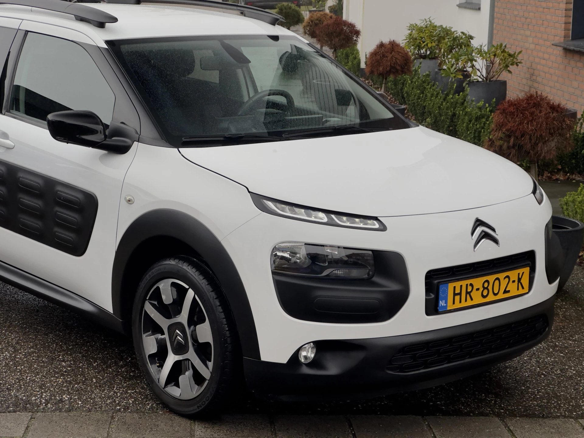 Hoofdafbeelding Citroën C4 Cactus