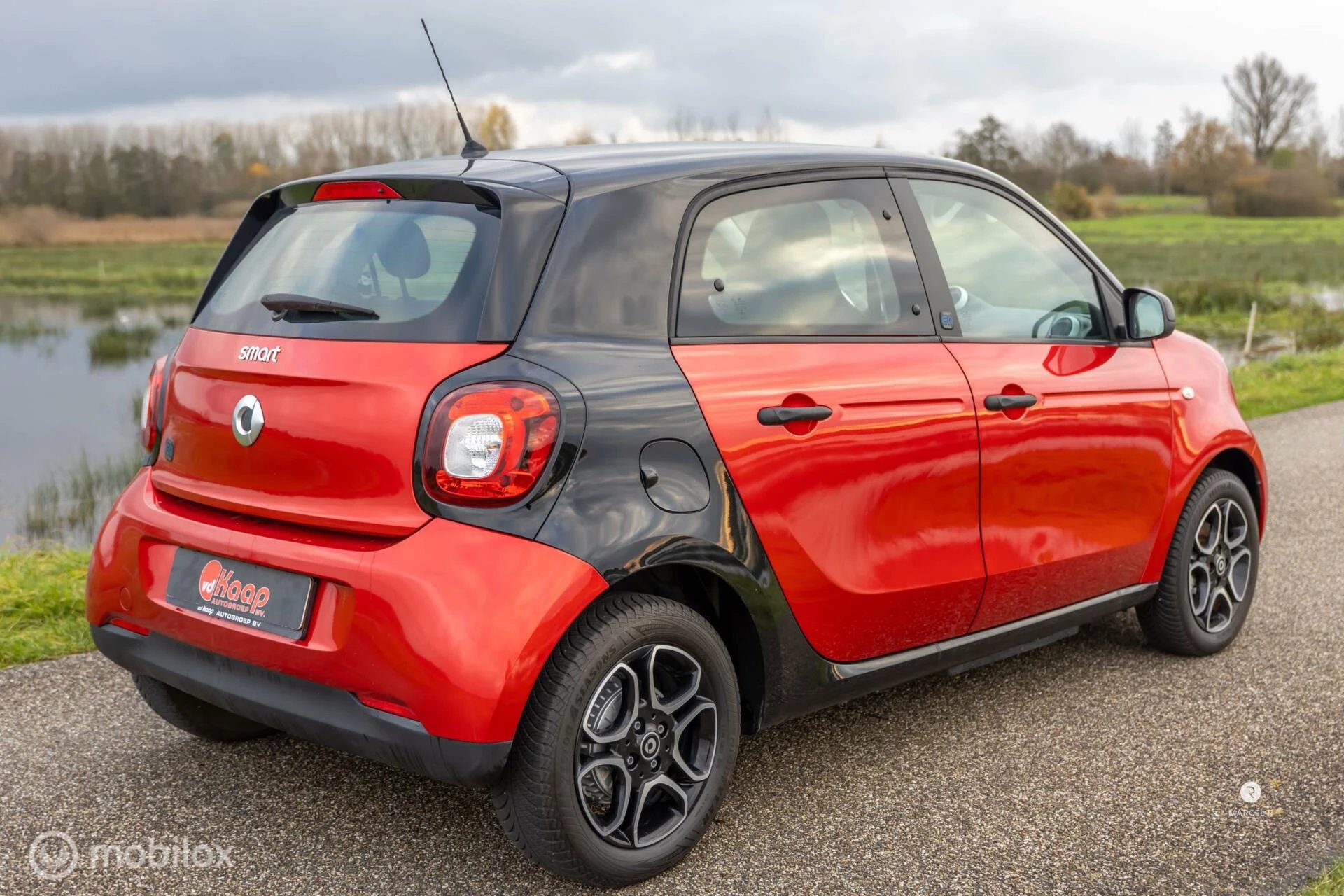 Hoofdafbeelding Smart Forfour