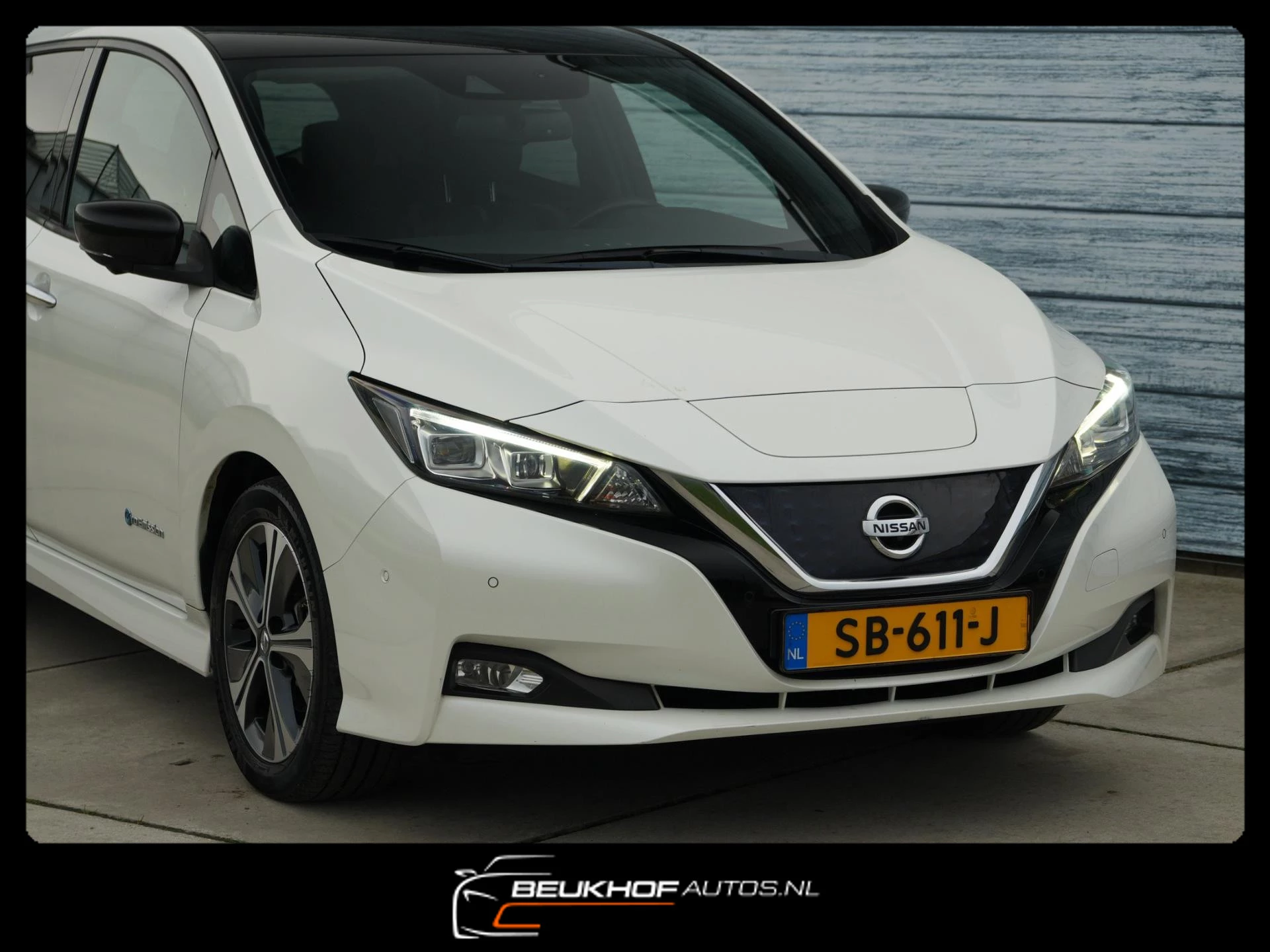 Hoofdafbeelding Nissan Leaf