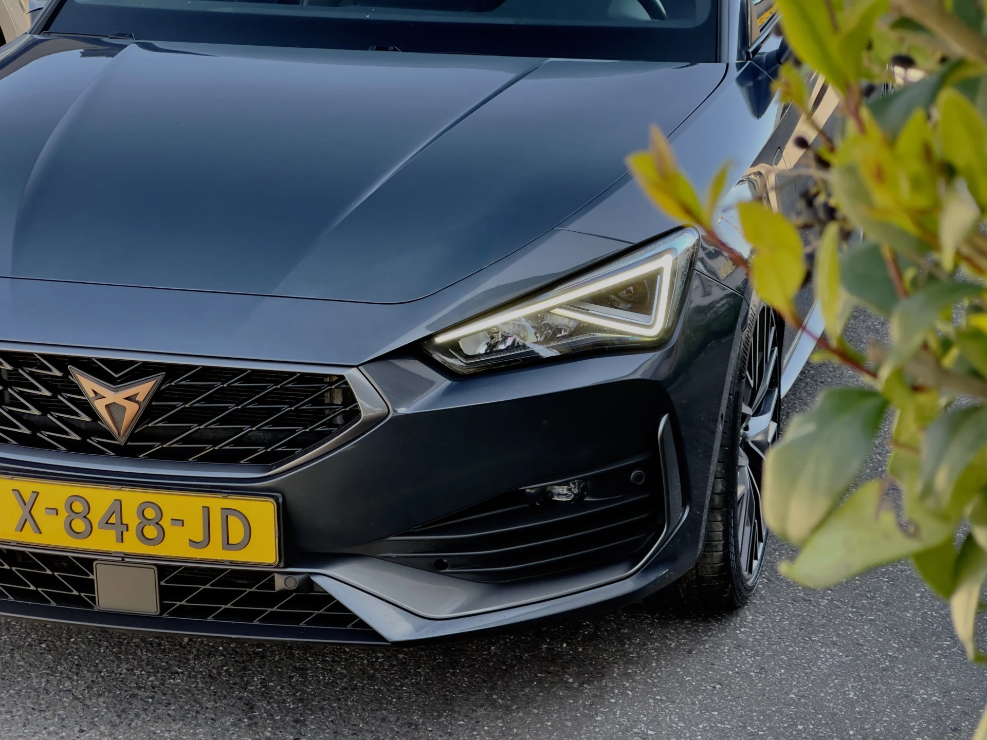 Hoofdafbeelding CUPRA Leon Sportstourer