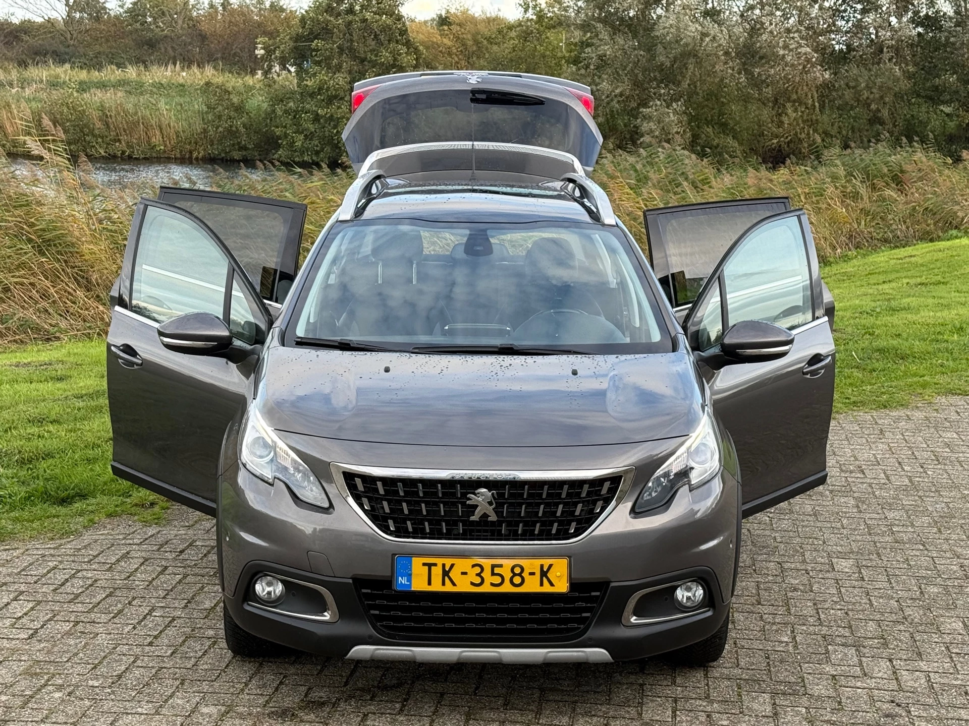 Hoofdafbeelding Peugeot 2008