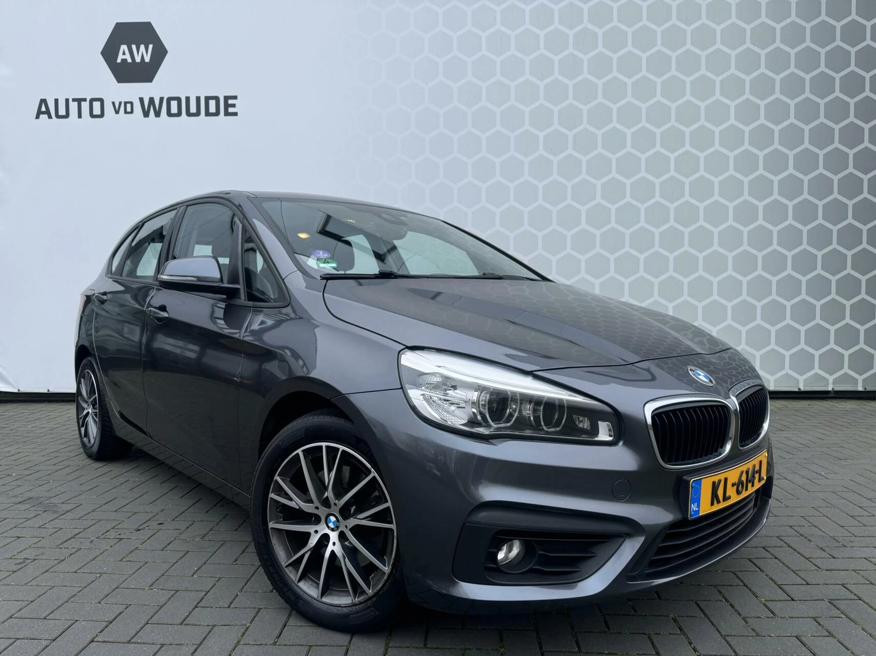 Hoofdafbeelding BMW 2 Serie