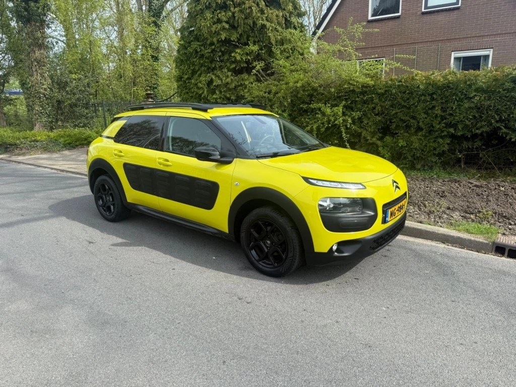 Hoofdafbeelding Citroën C4 Cactus