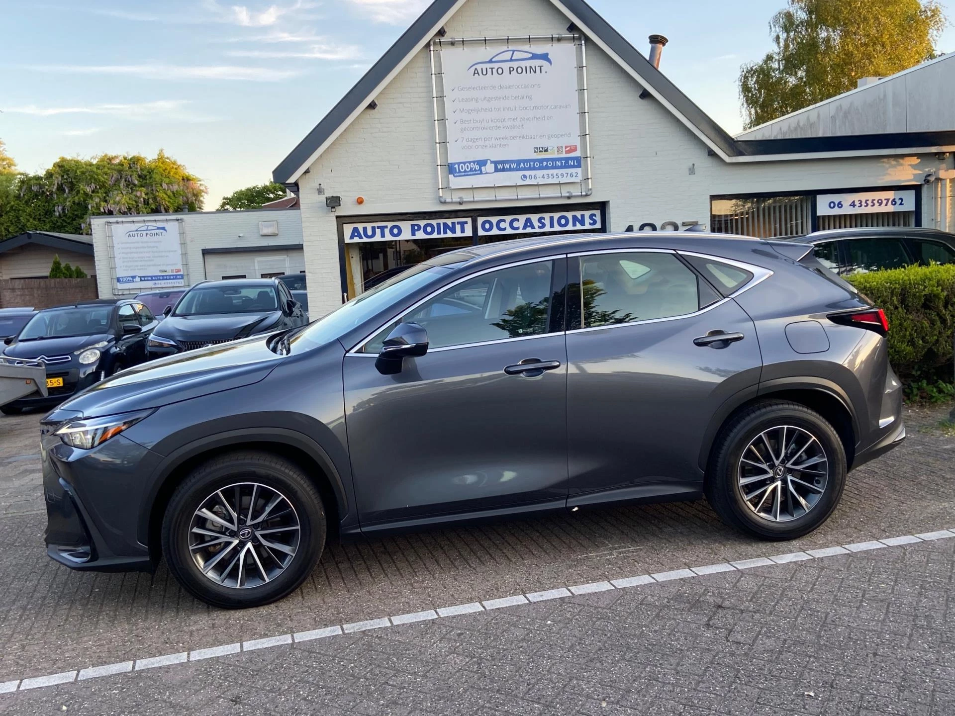 Hoofdafbeelding Lexus NX