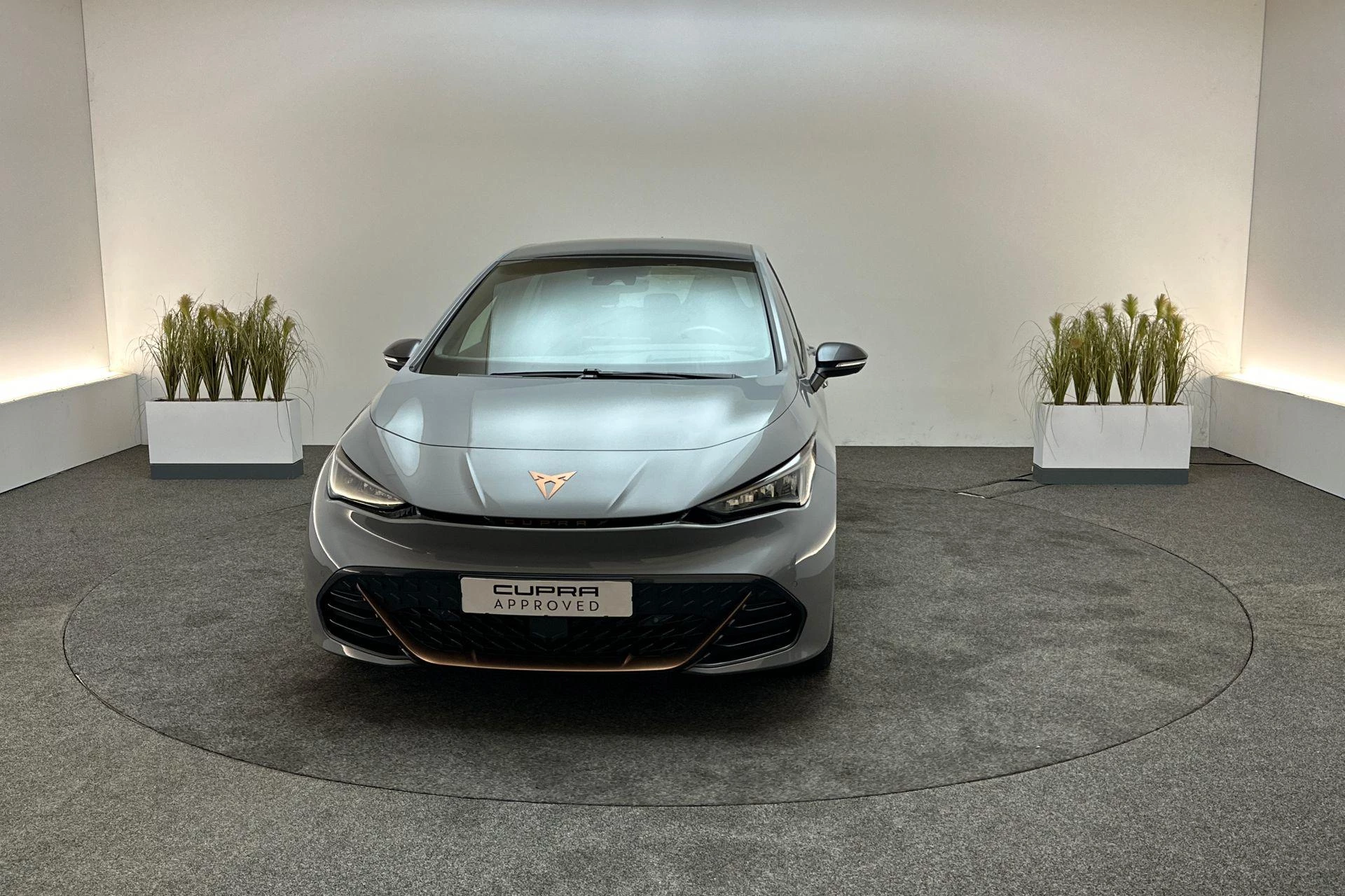 Hoofdafbeelding CUPRA Born
