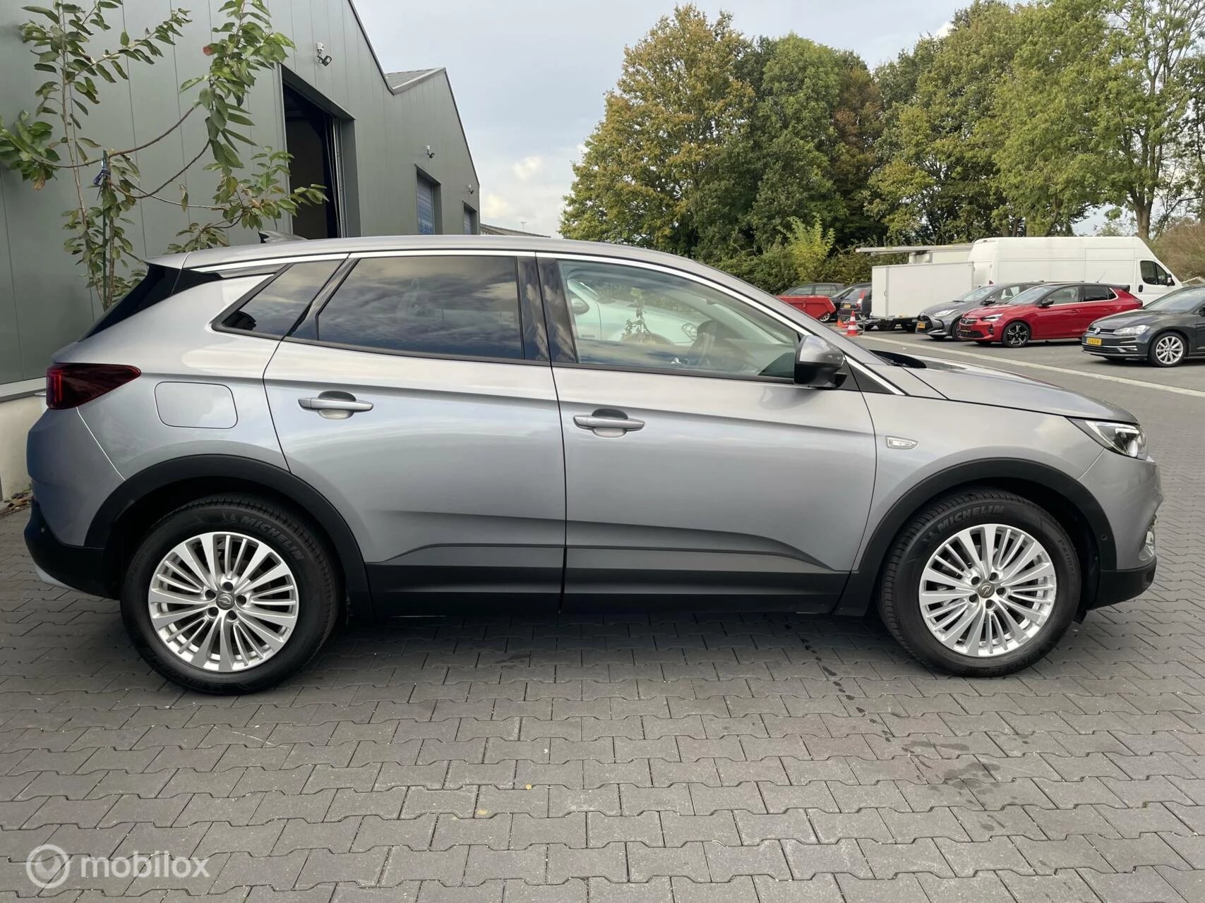 Hoofdafbeelding Opel Grandland X