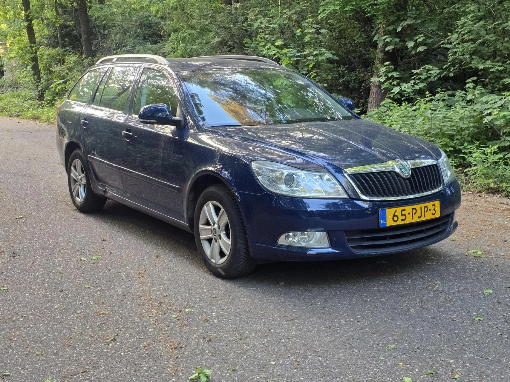 Hoofdafbeelding Škoda Octavia