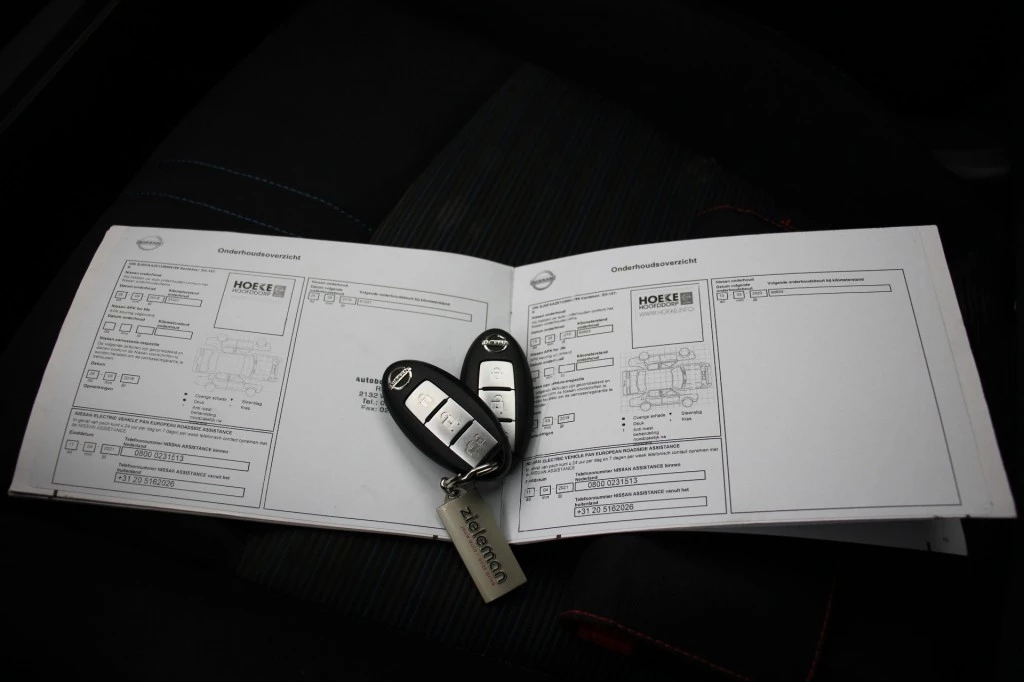 Hoofdafbeelding Nissan Leaf