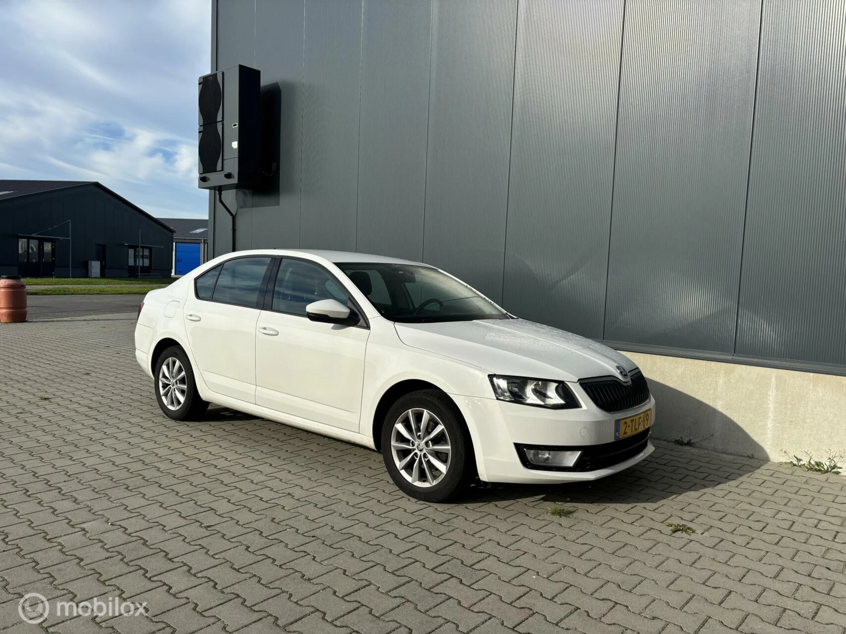 Hoofdafbeelding Škoda Octavia