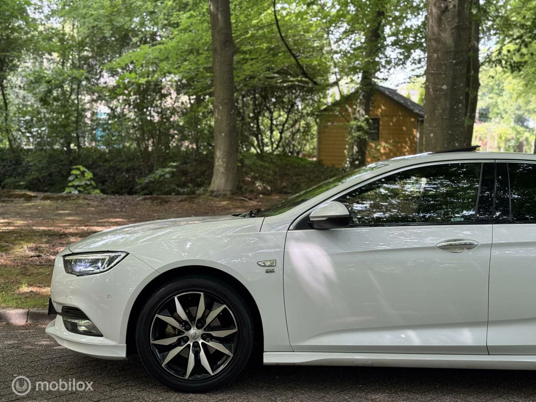 Hoofdafbeelding Opel Insignia