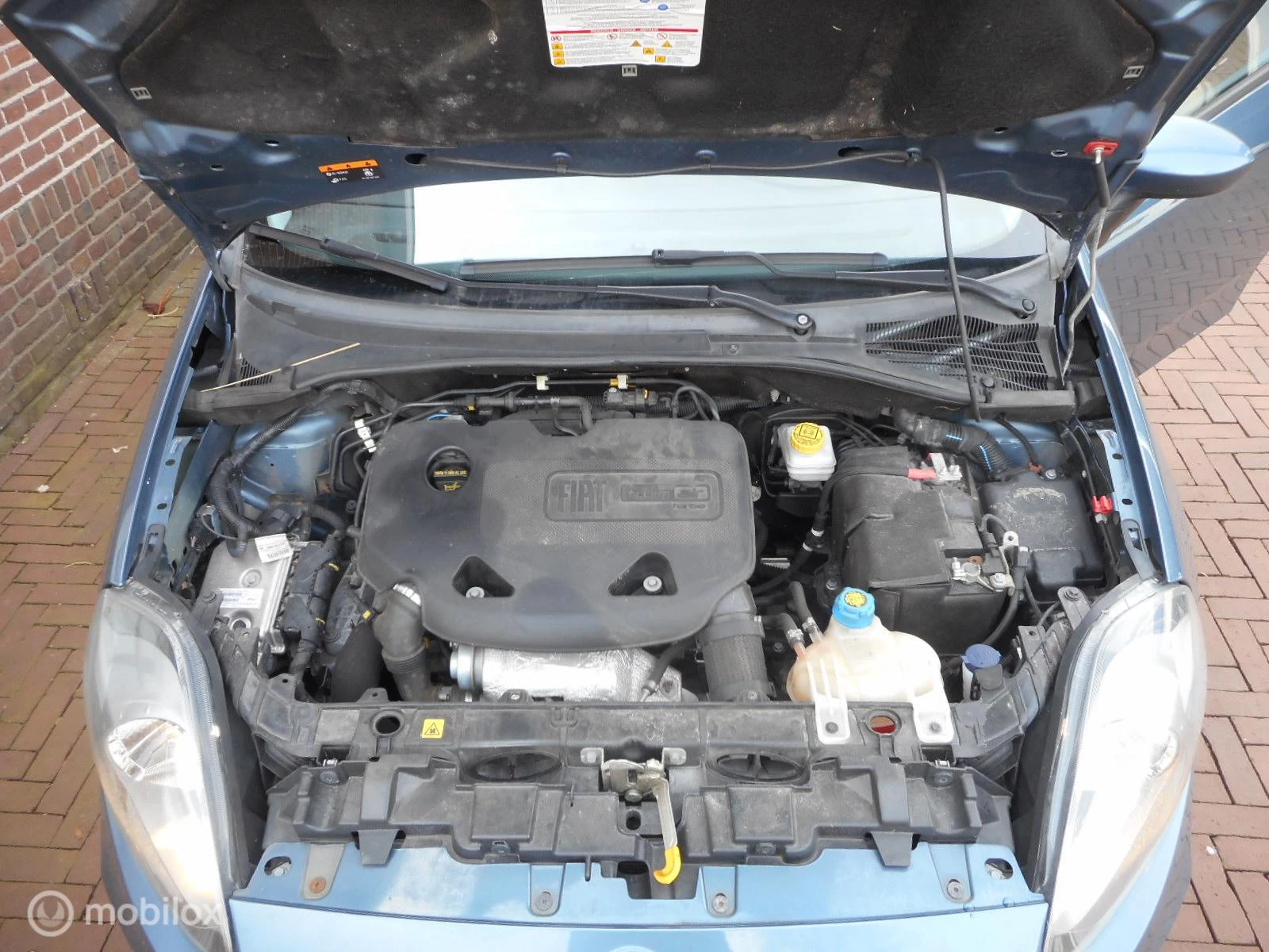 Hoofdafbeelding Fiat Punto