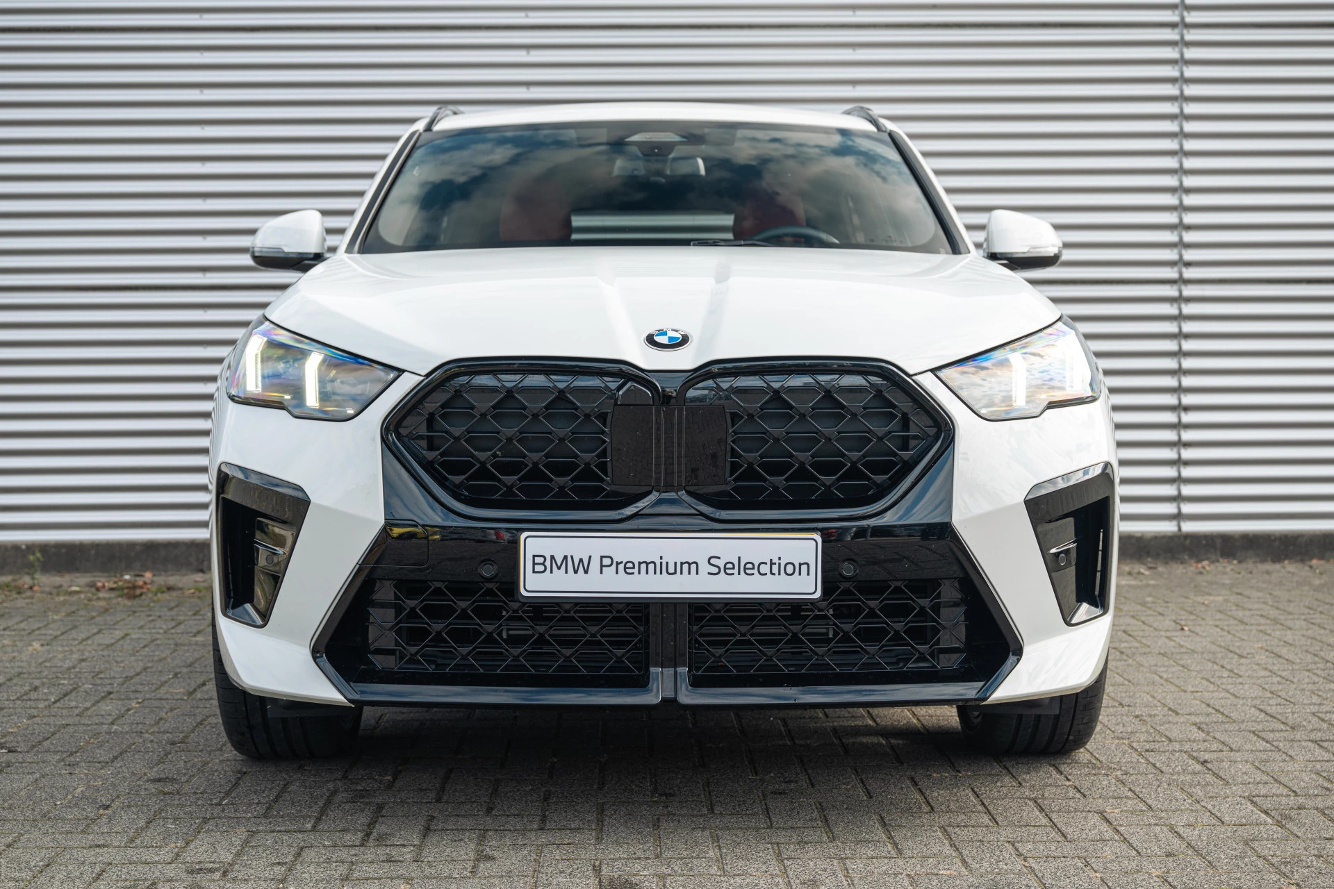 Hoofdafbeelding BMW X2