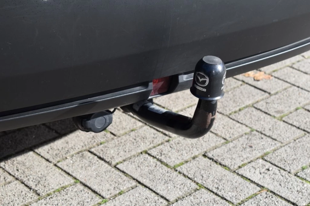 Hoofdafbeelding Mazda MX-30