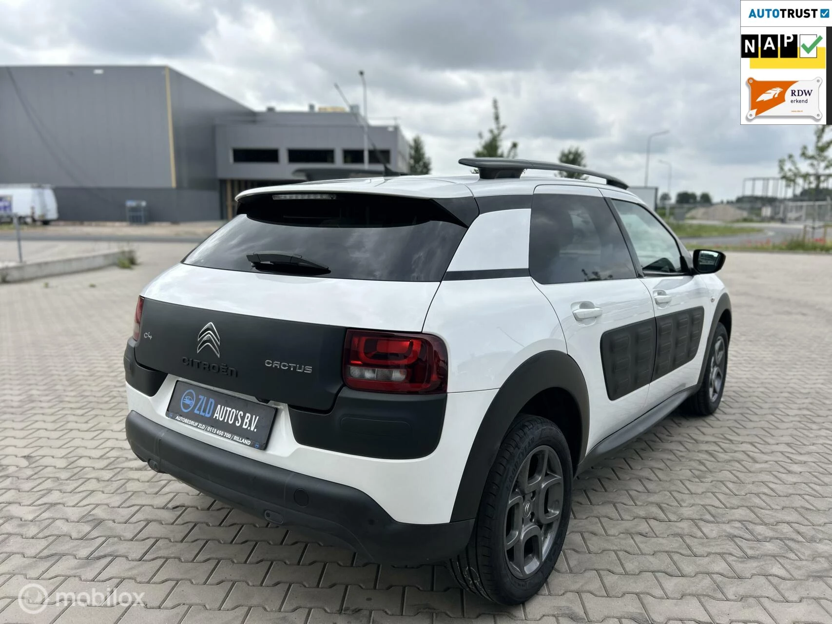 Hoofdafbeelding Citroën C4 Cactus