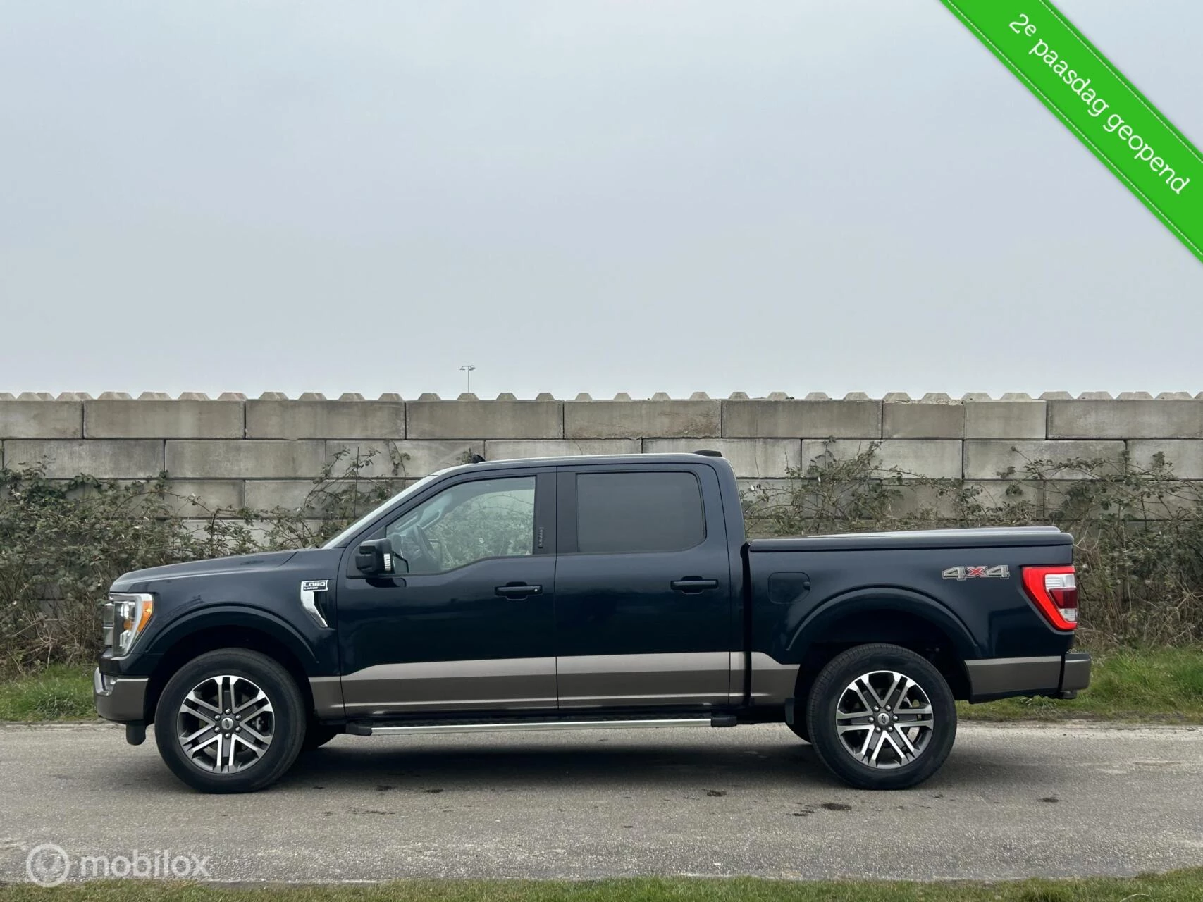 Hoofdafbeelding Ford F-150