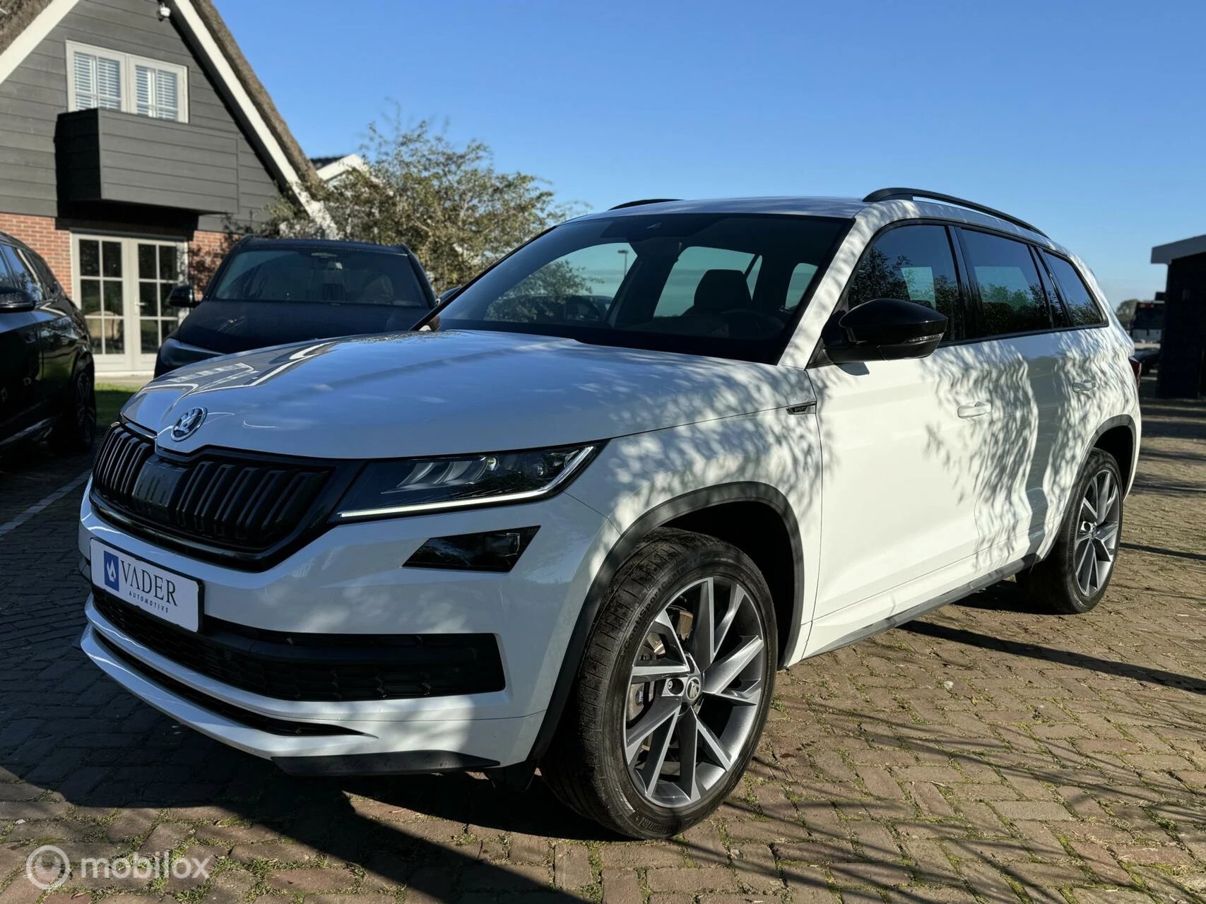 Hoofdafbeelding Škoda Kodiaq