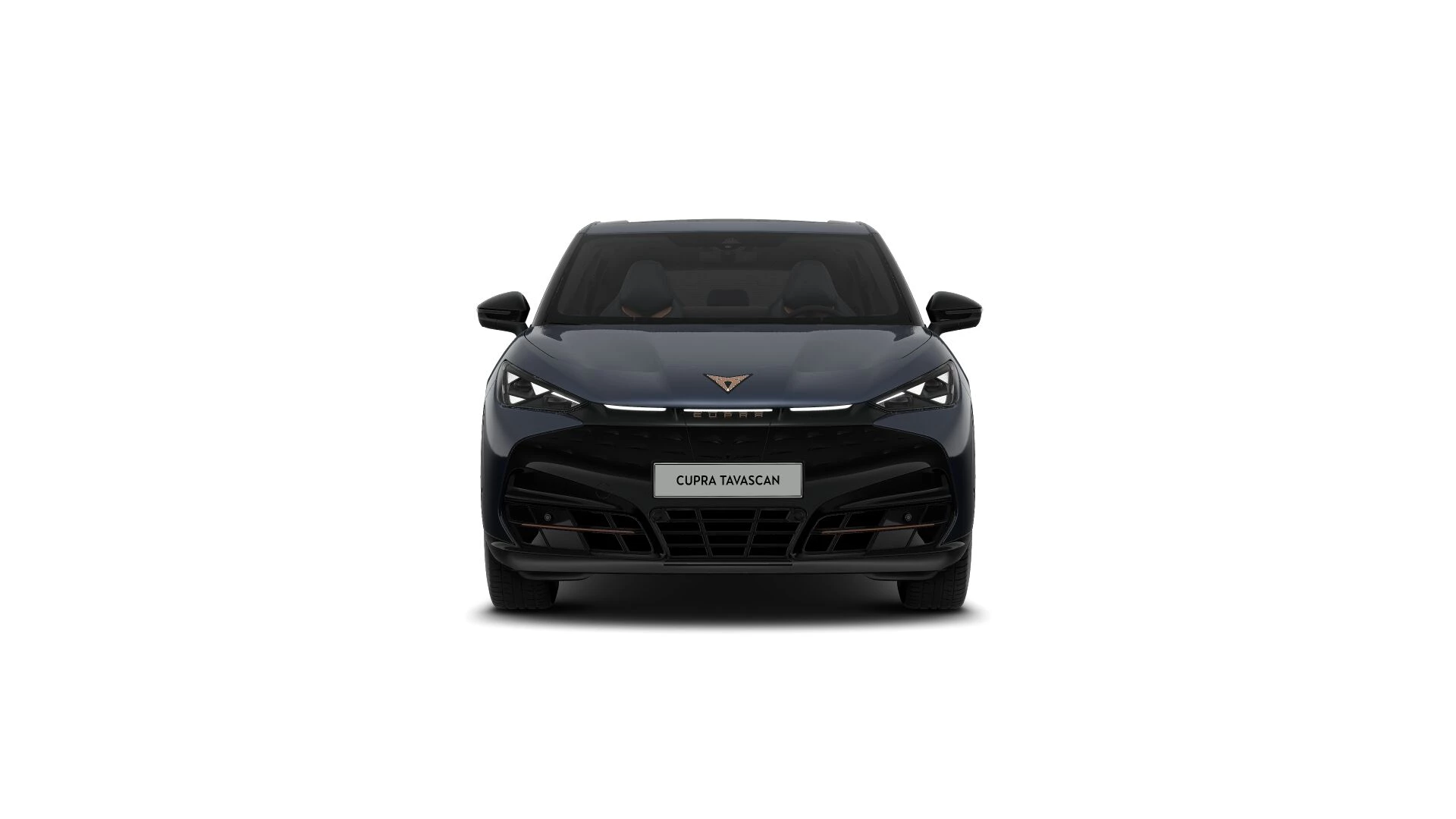 Hoofdafbeelding CUPRA Tavascan