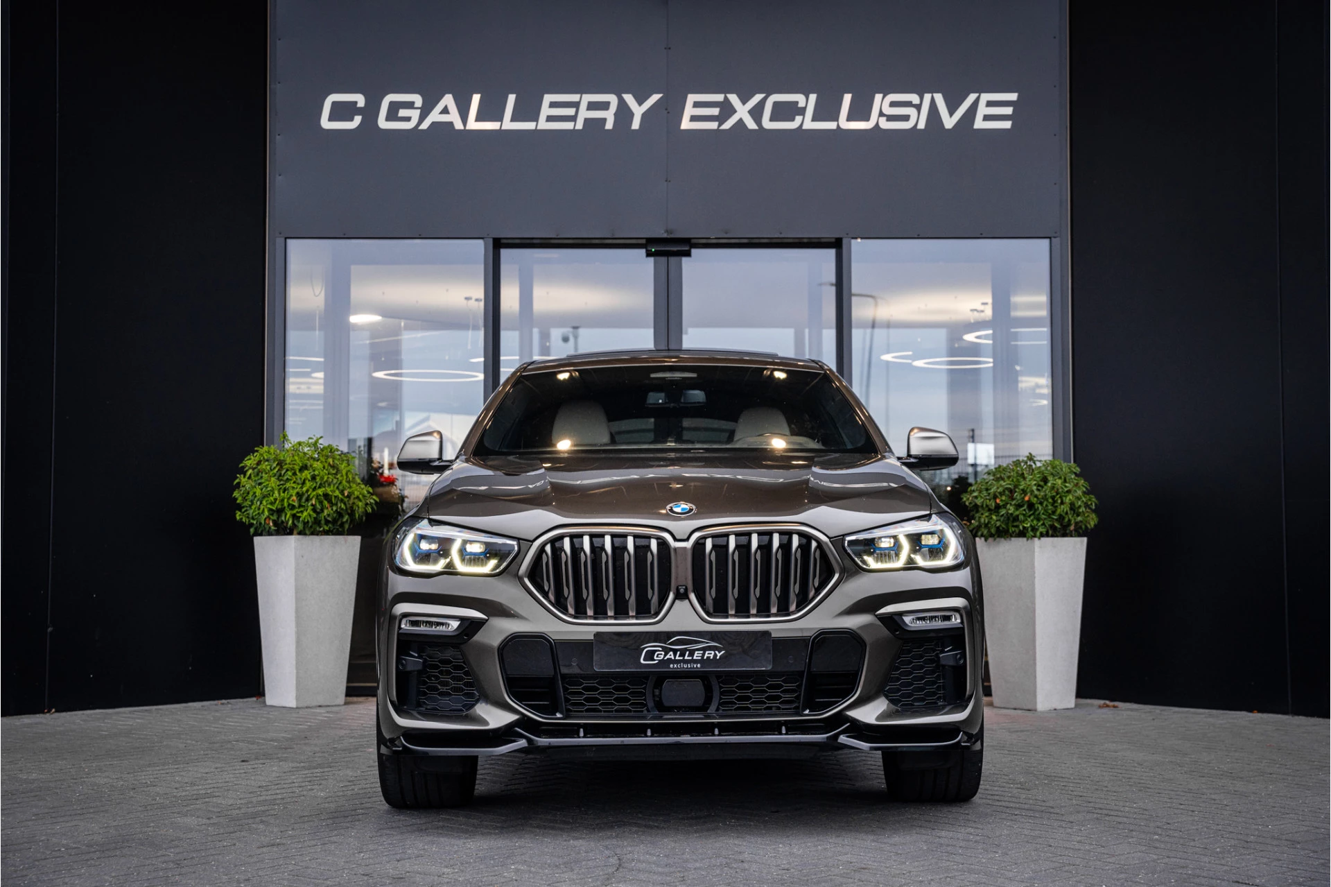 Hoofdafbeelding BMW X6